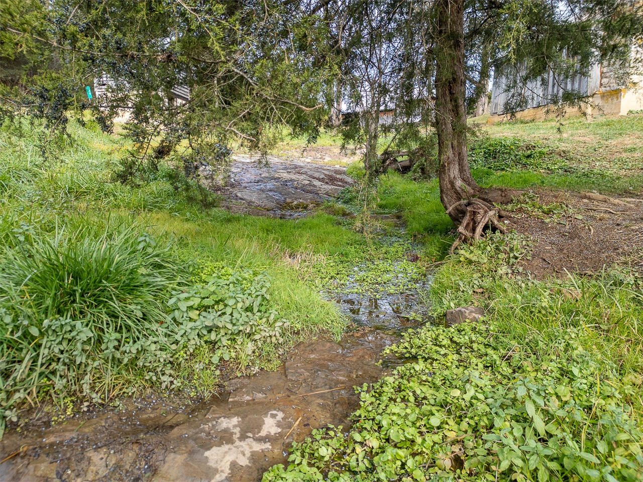 30 Toad Hall Ln - Photo 4