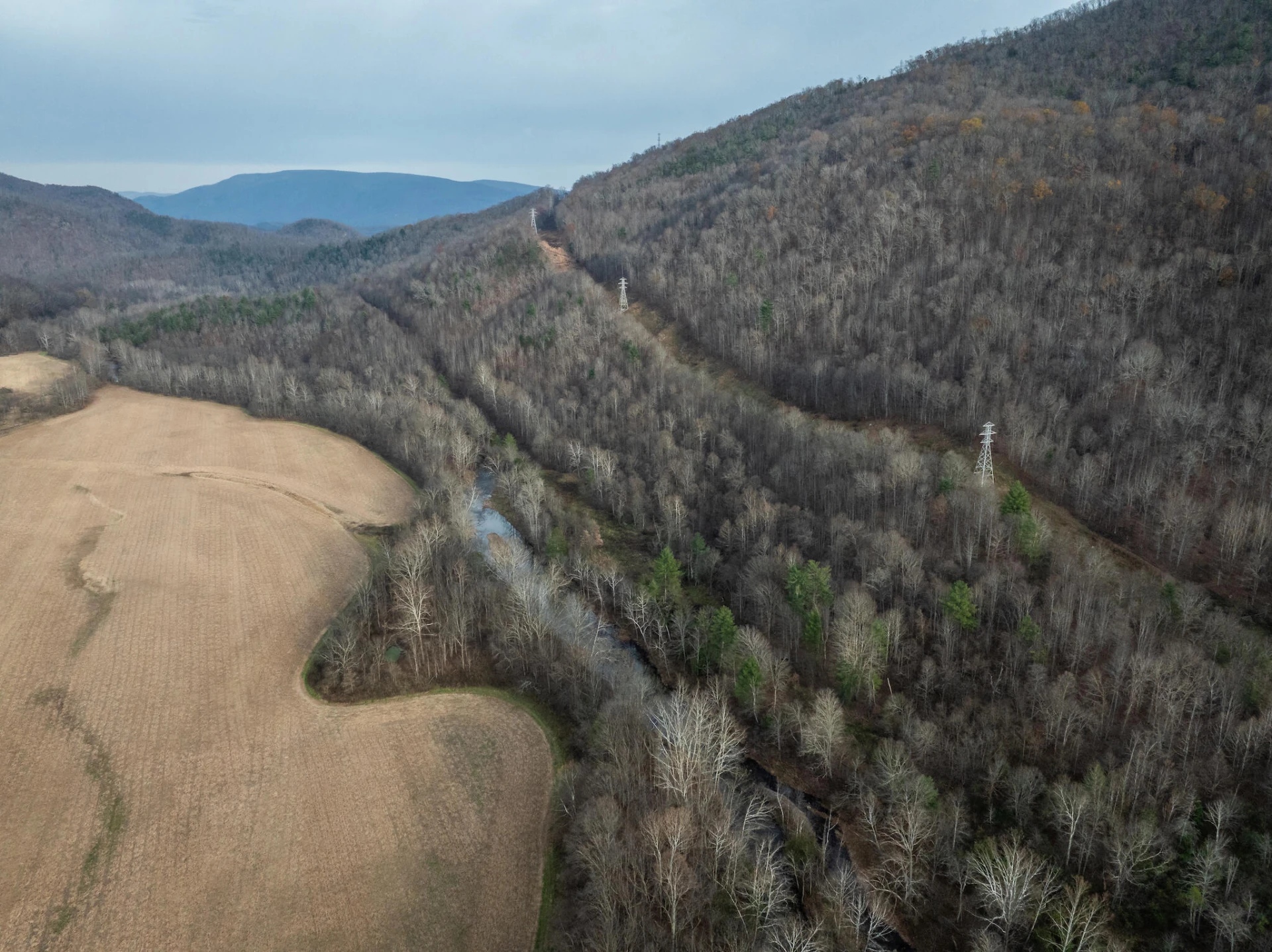 8505 Dunlap Creek Rd - Photo 11