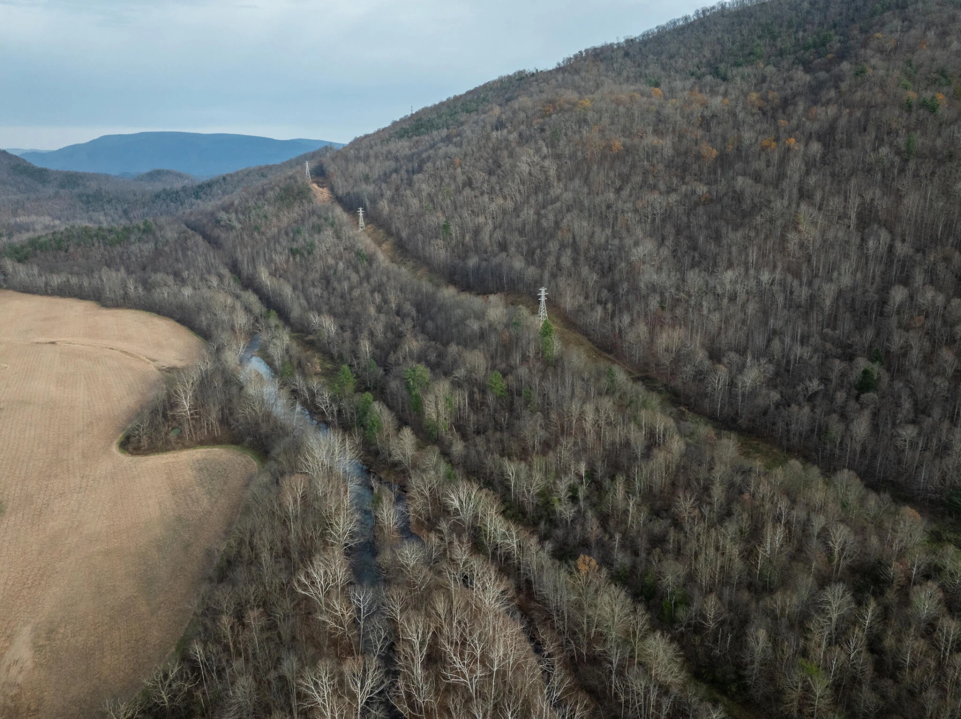 8505 Dunlap Creek Rd - Photo 12