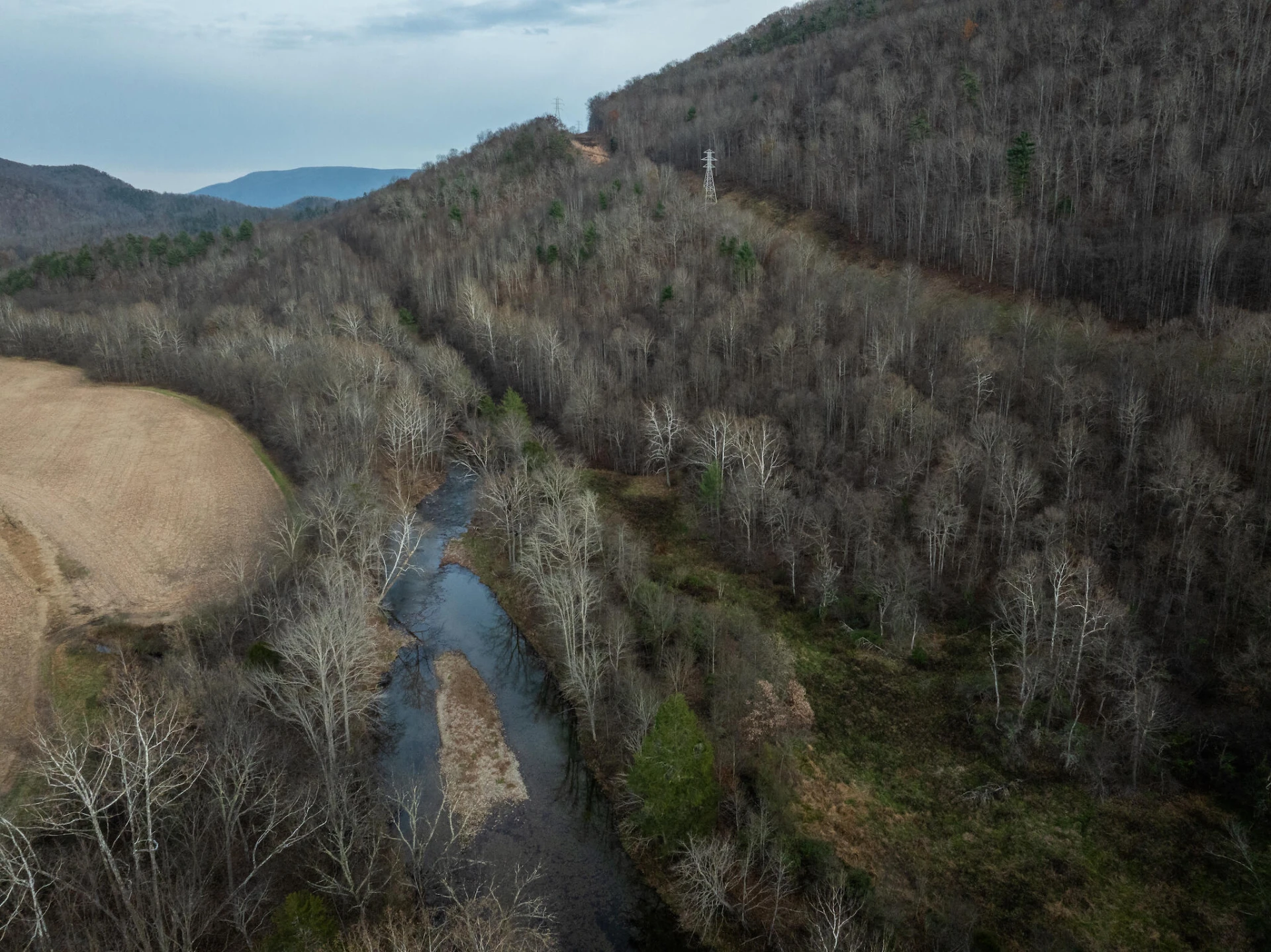 8505 Dunlap Creek Rd - Photo 13