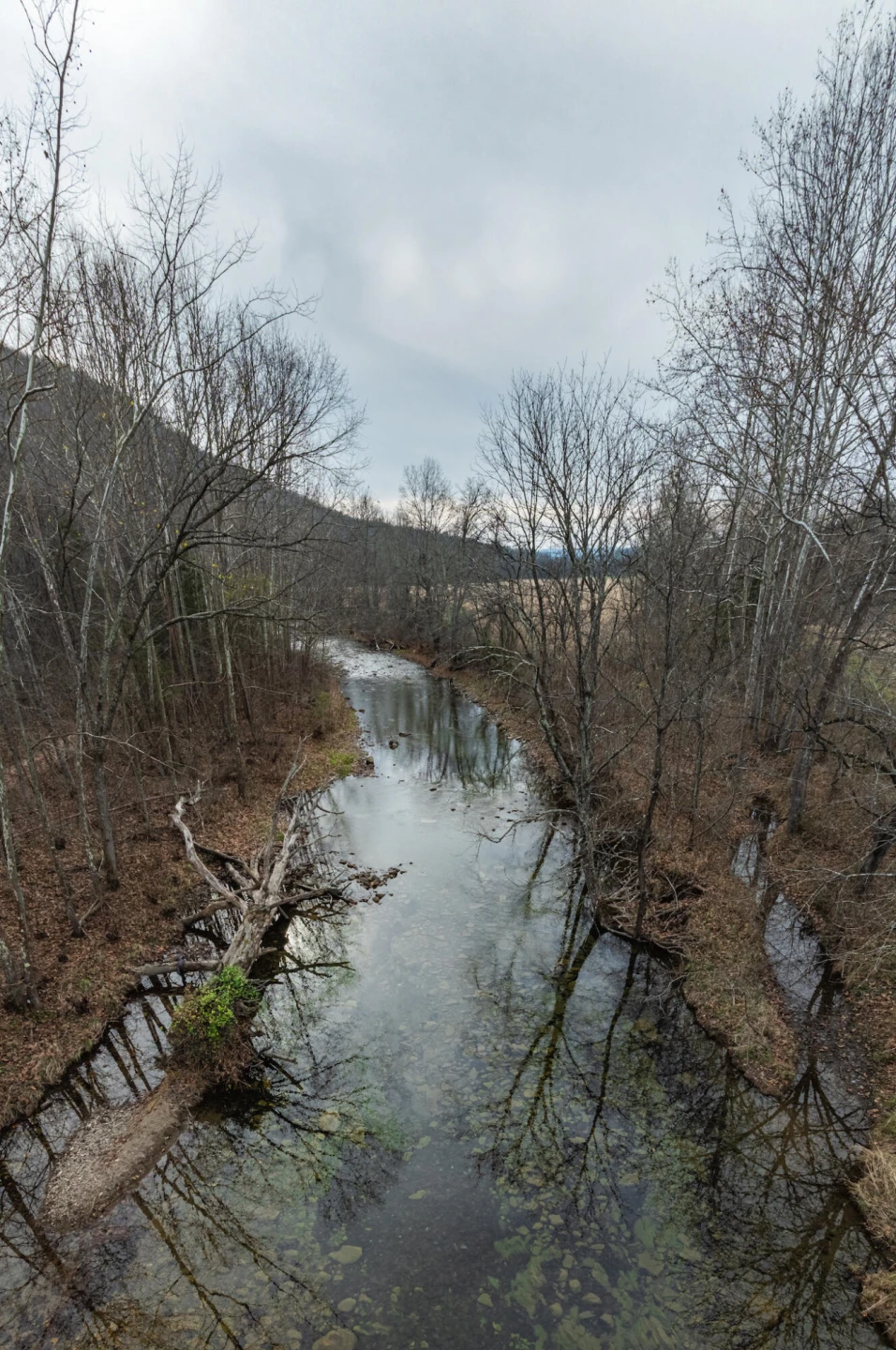 8505 Dunlap Creek Rd - Photo 4