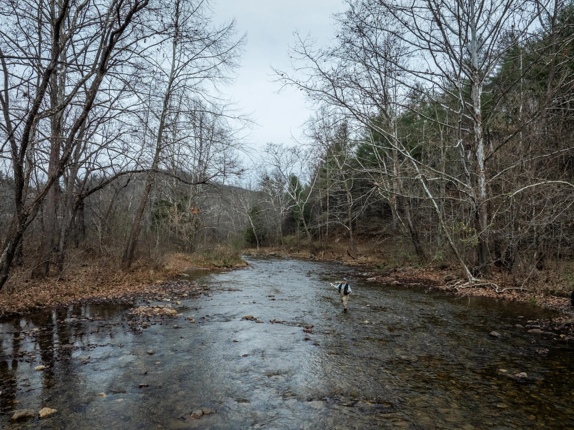 8505 Dunlap Creek Rd - Photo 5