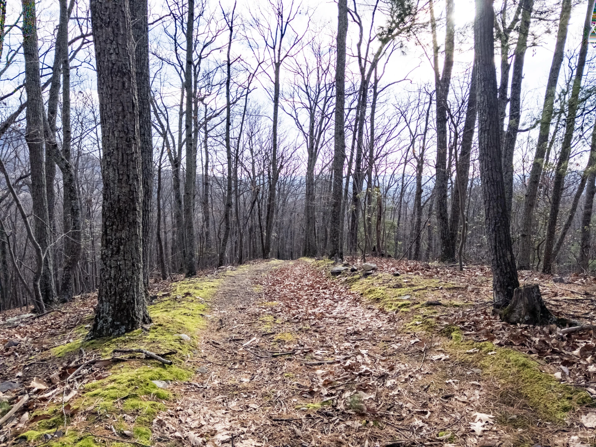 0 Honey Hollow Rd - Photo 10