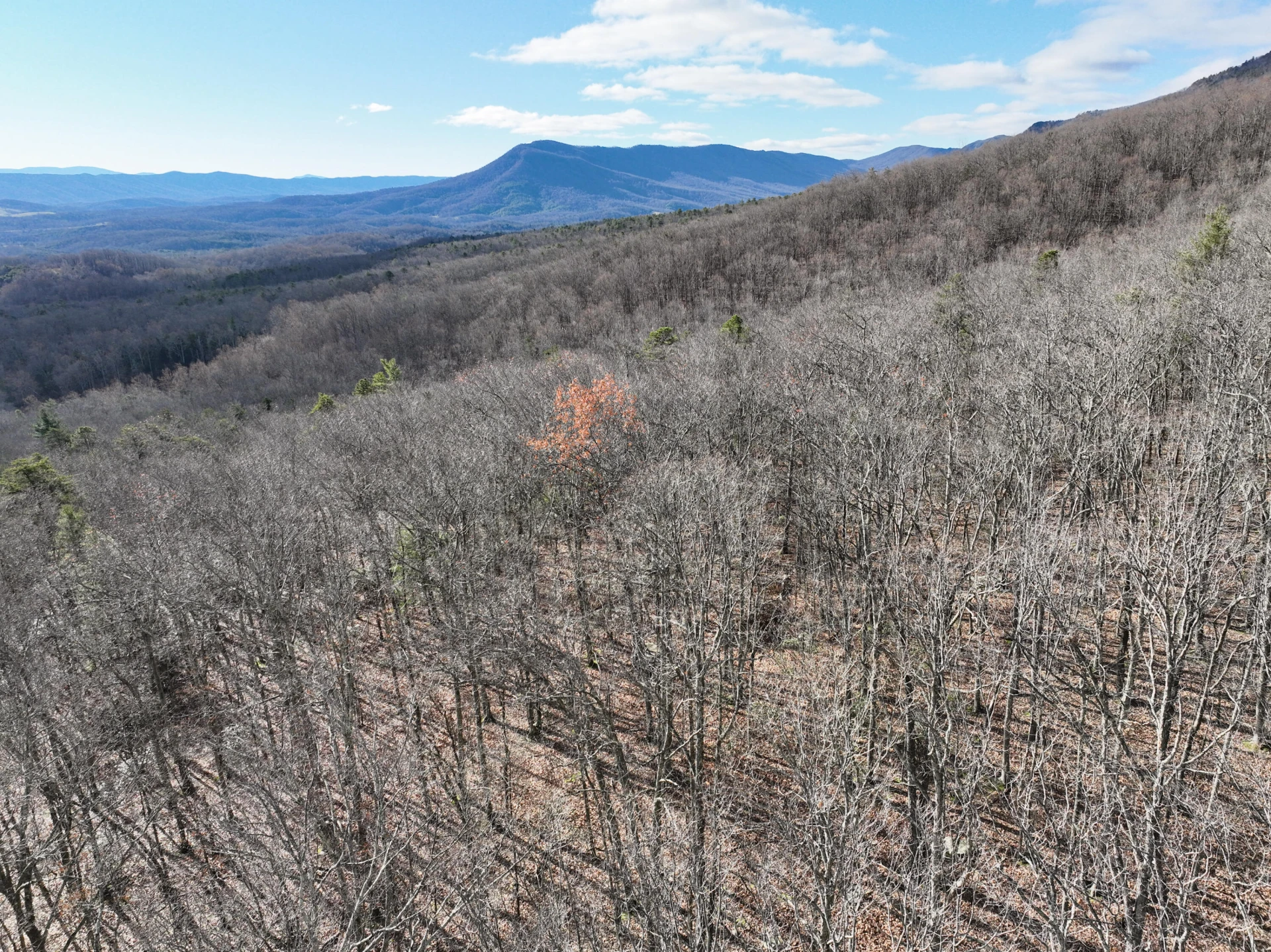 0 Honey Hollow Rd - Photo 11