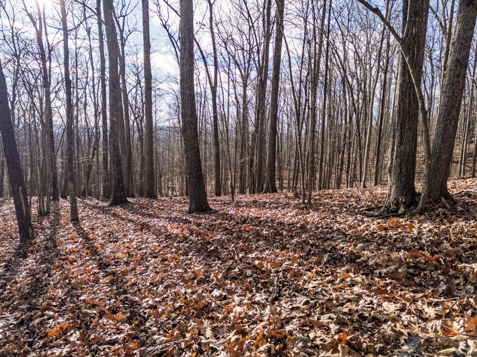 0 Honey Hollow Rd - Photo 12