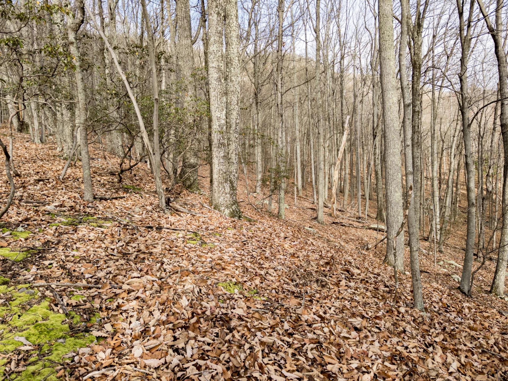 0 Honey Hollow Rd - Photo 15