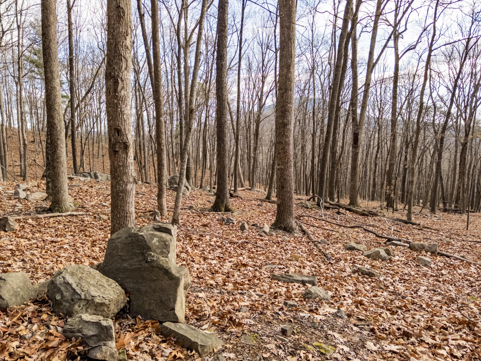 0 Honey Hollow Rd - Photo 16