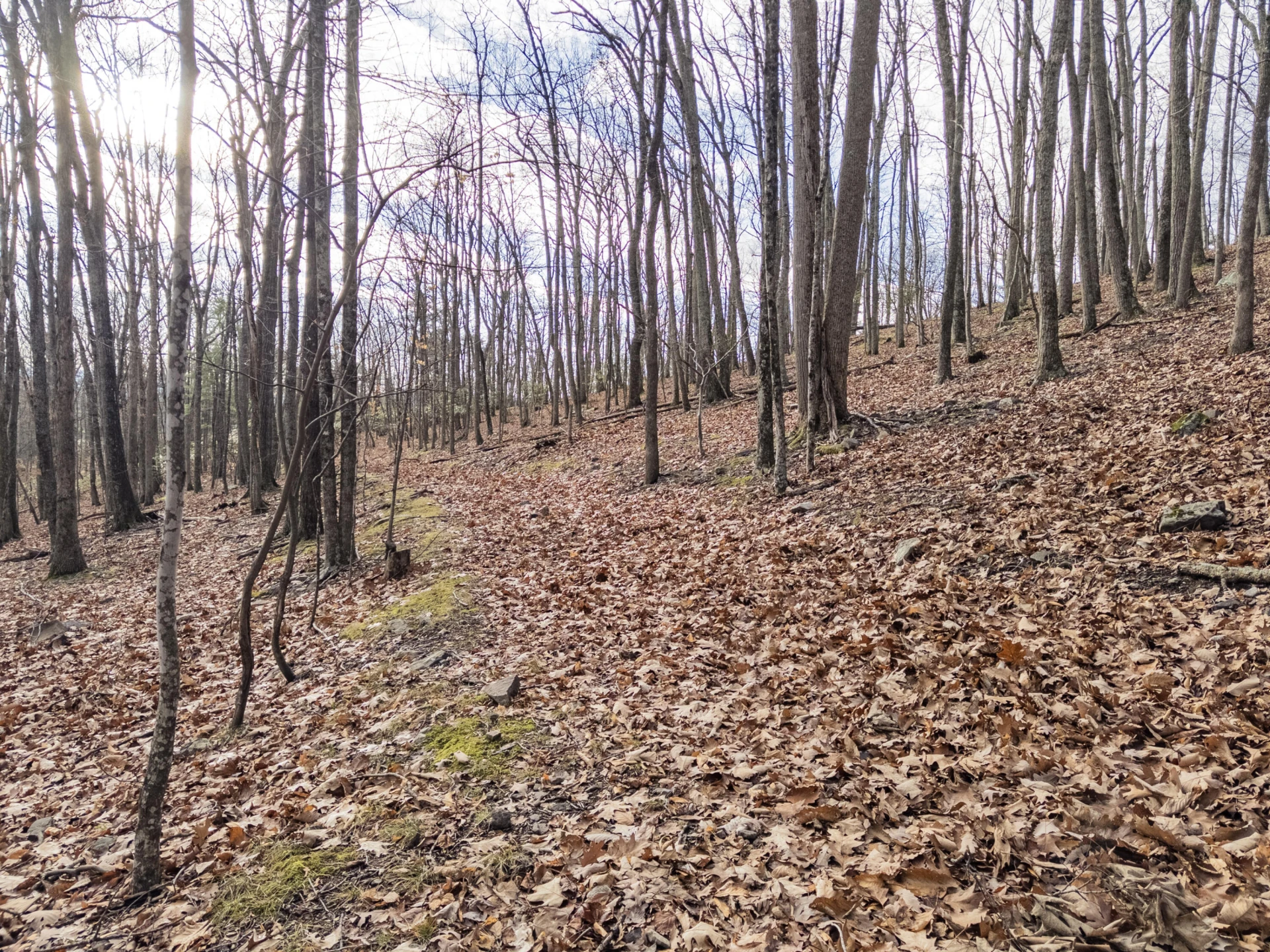 0 Honey Hollow Rd - Photo 18