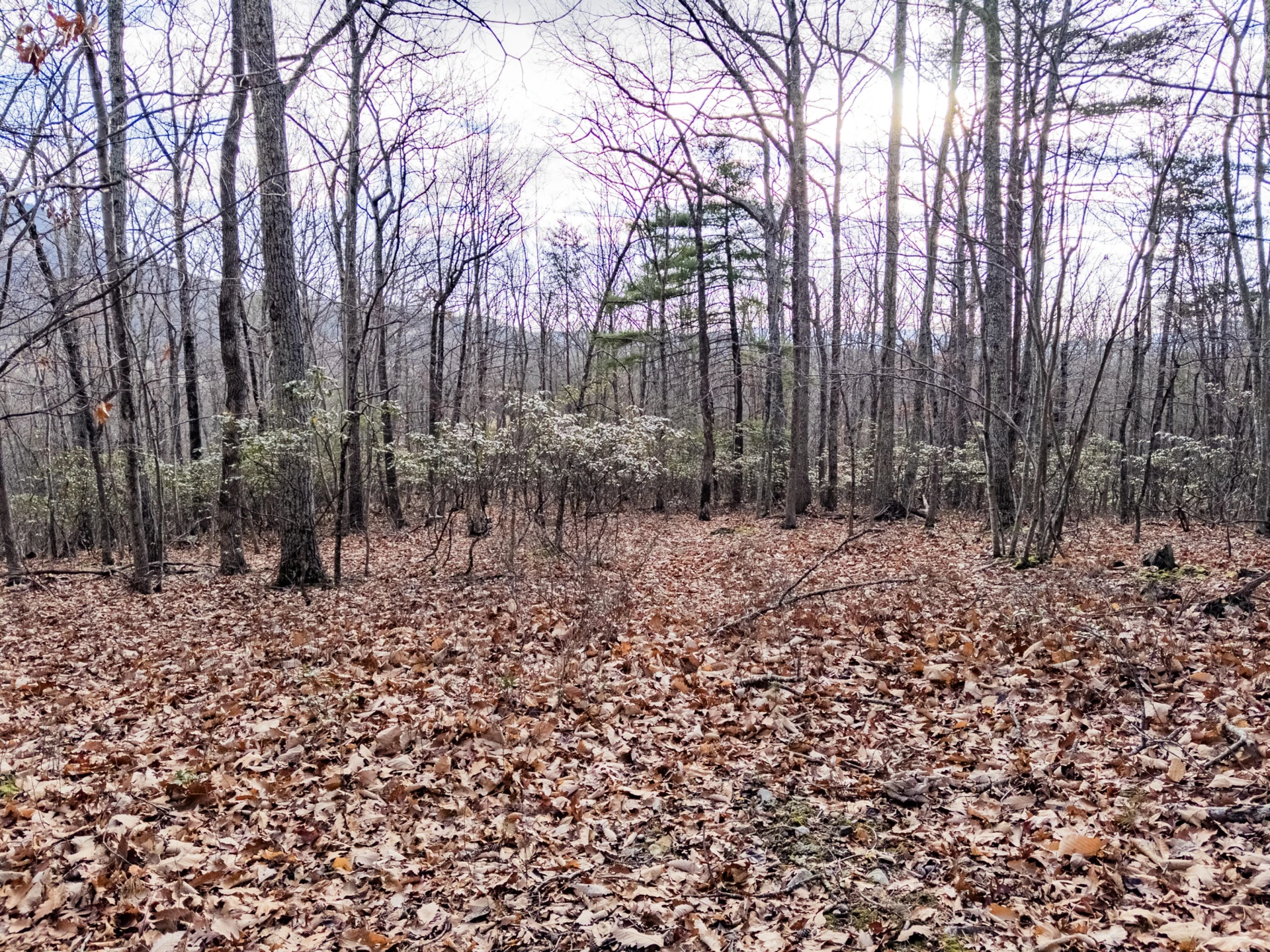 0 Honey Hollow Rd - Photo 19