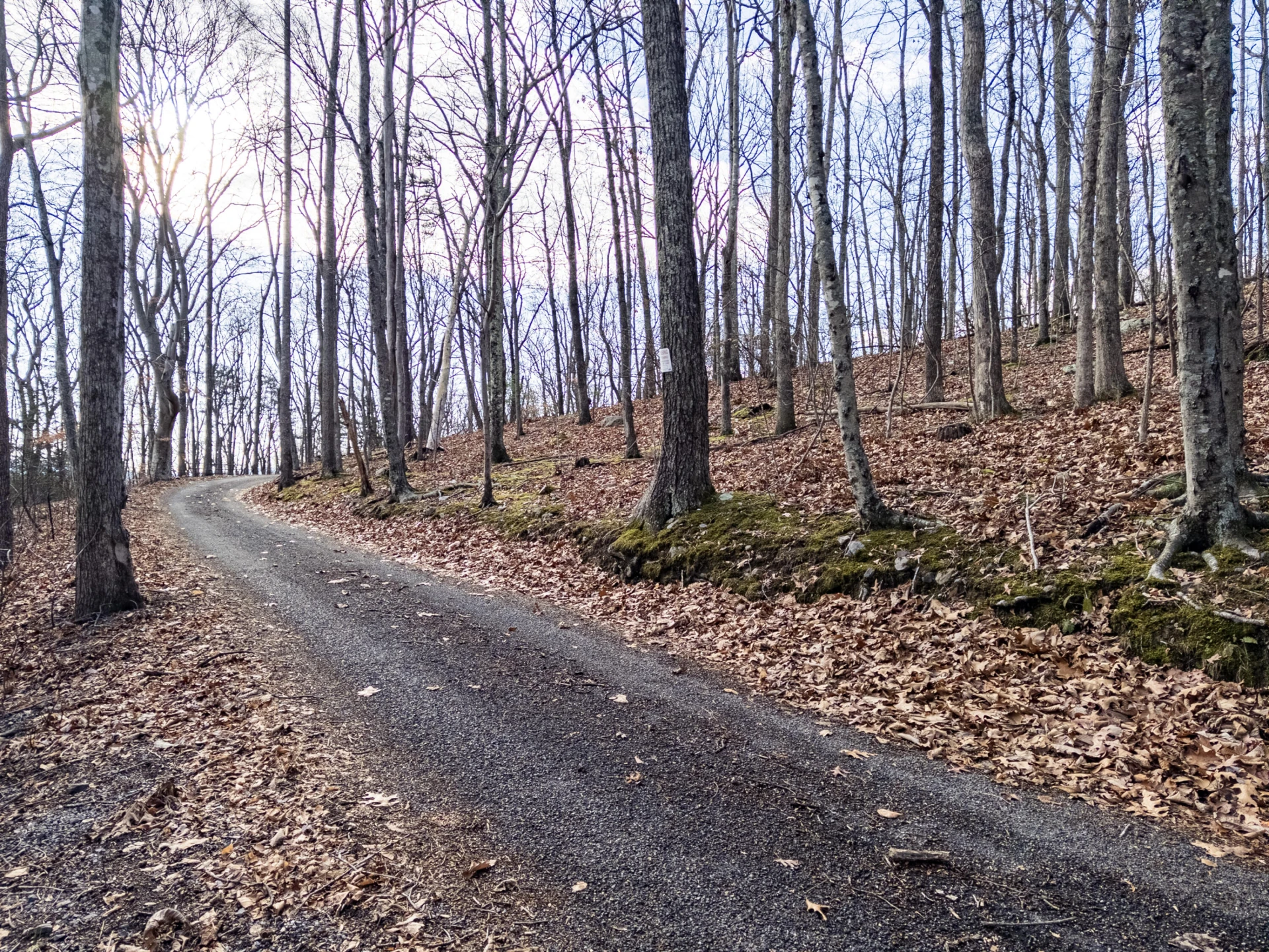 0 Honey Hollow Rd - Photo 2