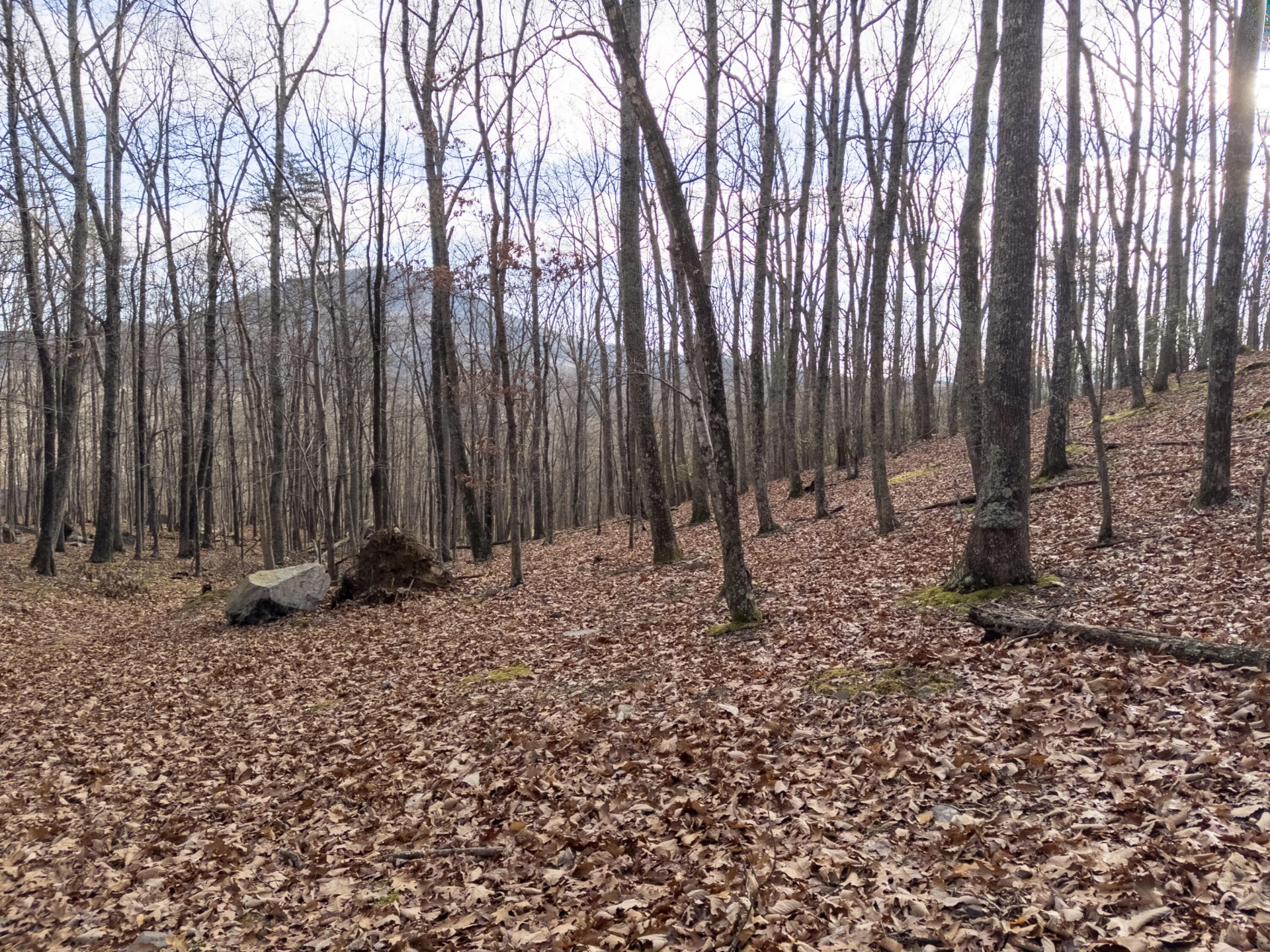 0 Honey Hollow Rd - Photo 20
