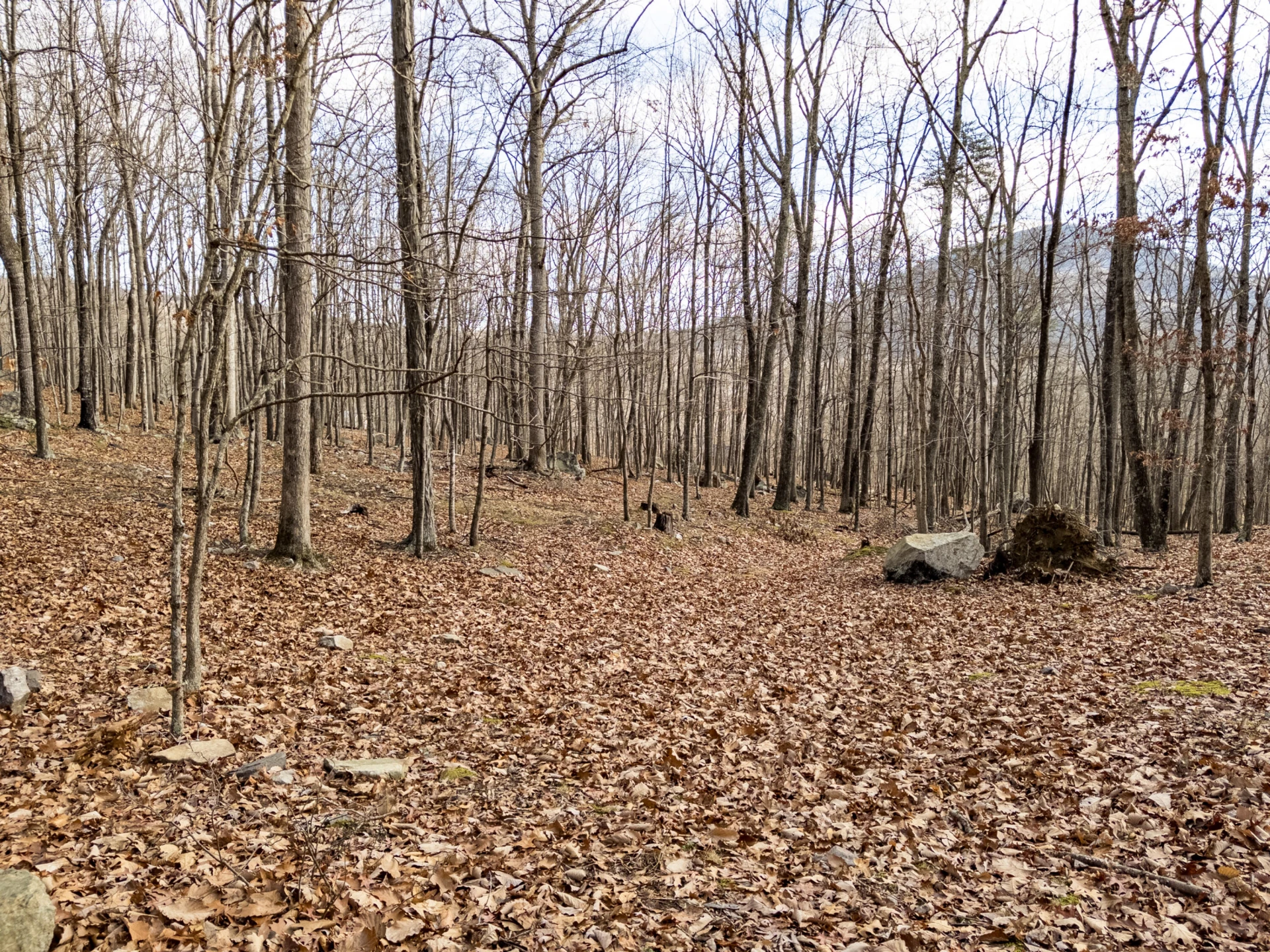 0 Honey Hollow Rd - Photo 21