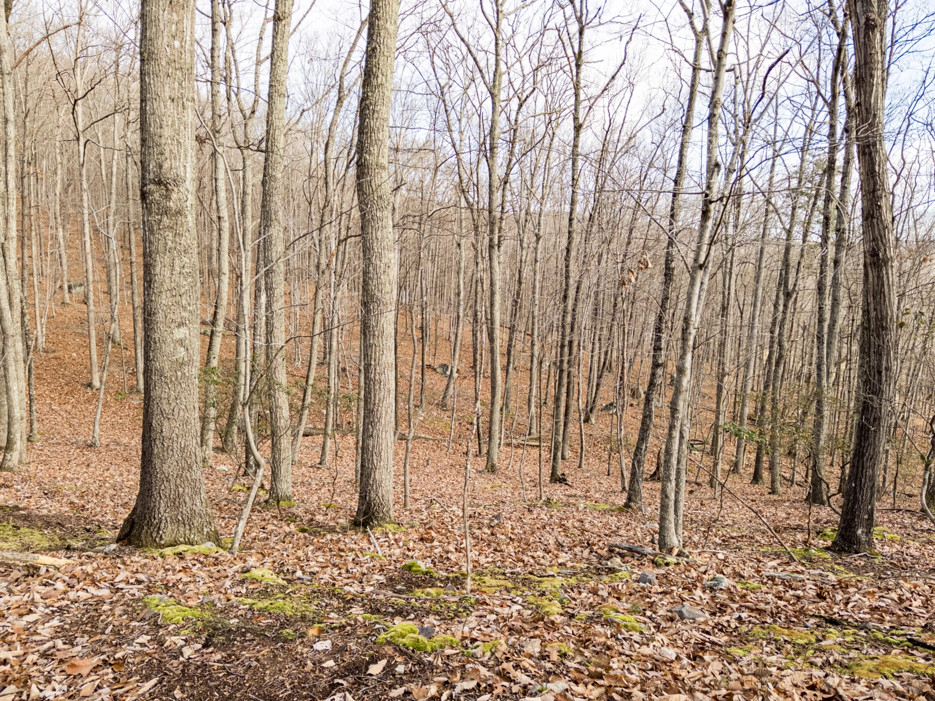 0 Honey Hollow Rd - Photo 23