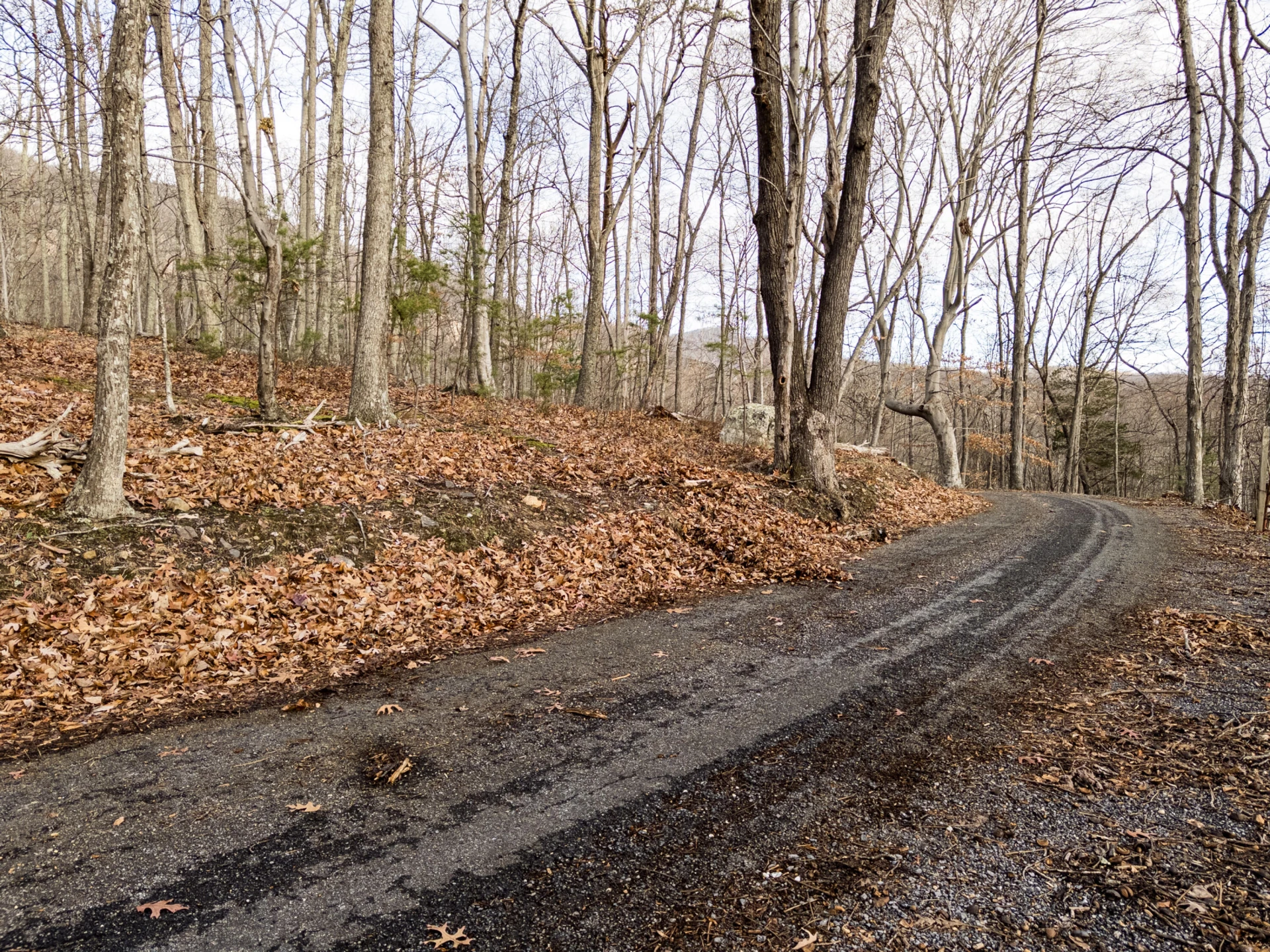 0 Honey Hollow Rd - Photo 24