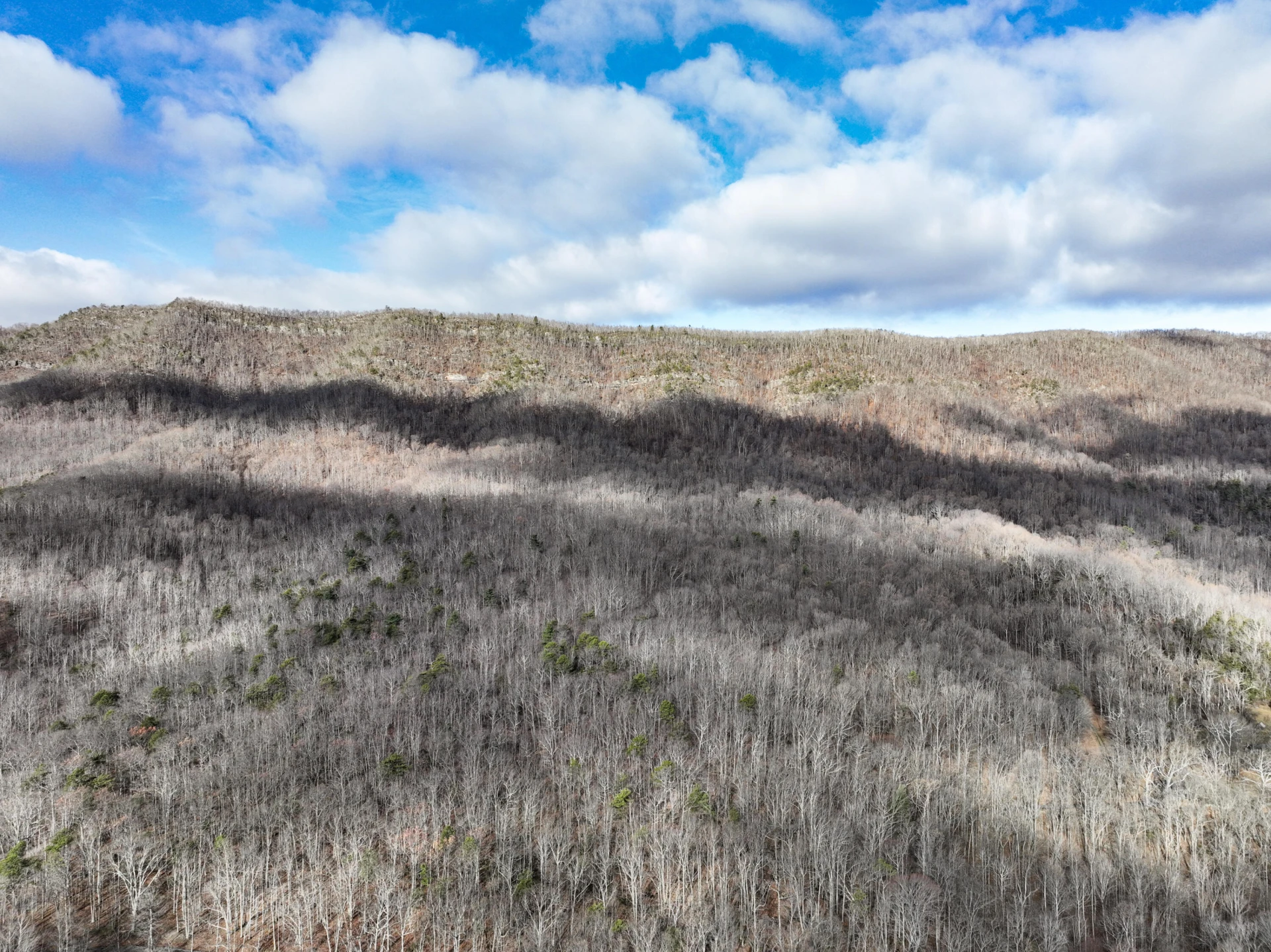 0 Honey Hollow Rd - Photo 26