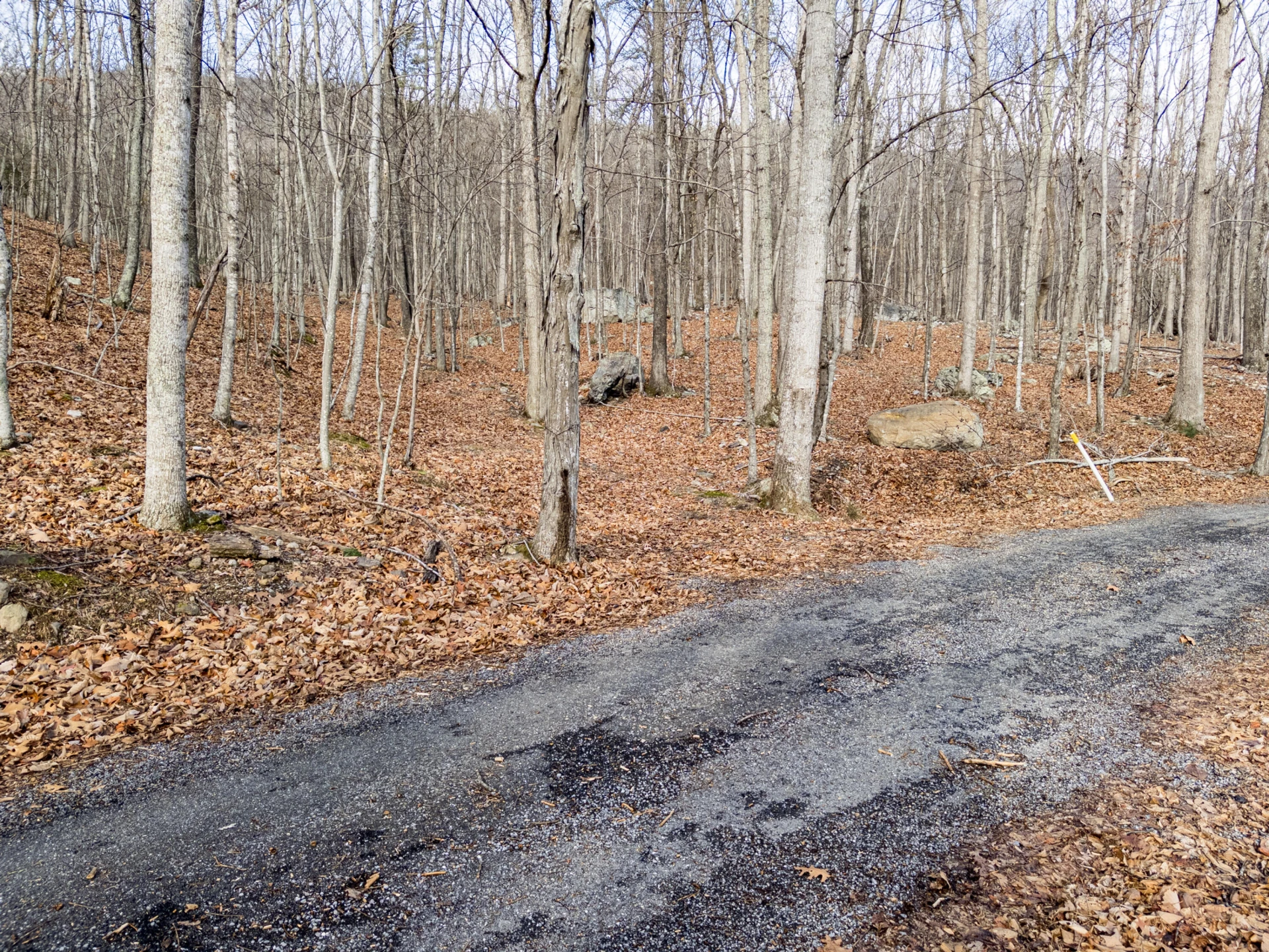 0 Honey Hollow Rd - Photo 3
