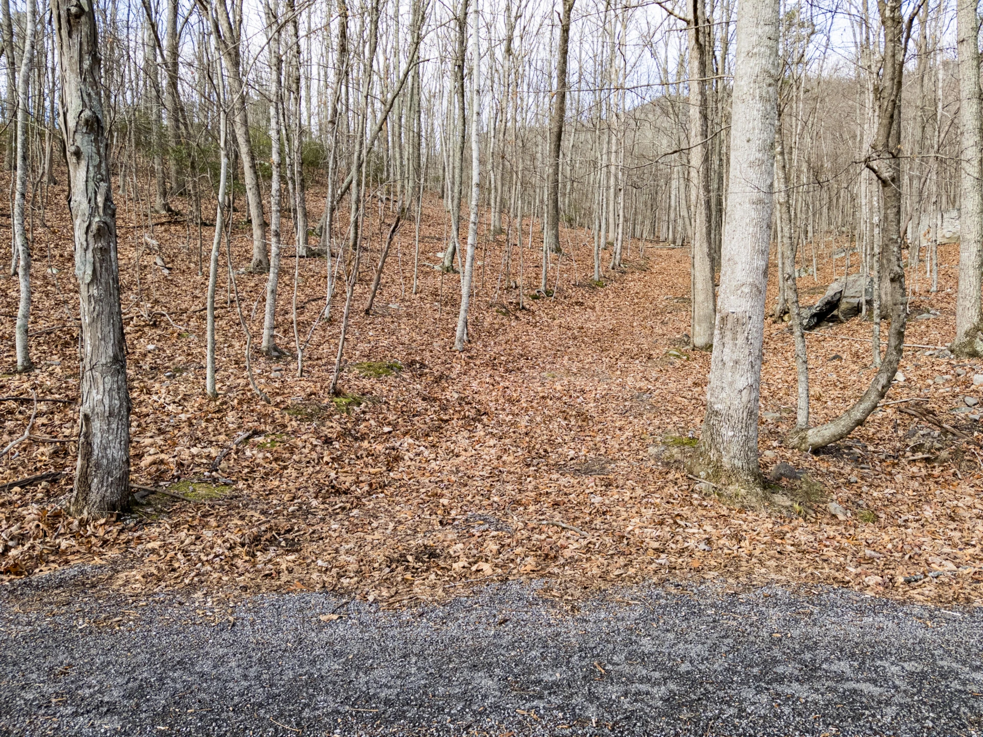 0 Honey Hollow Rd - Photo 4