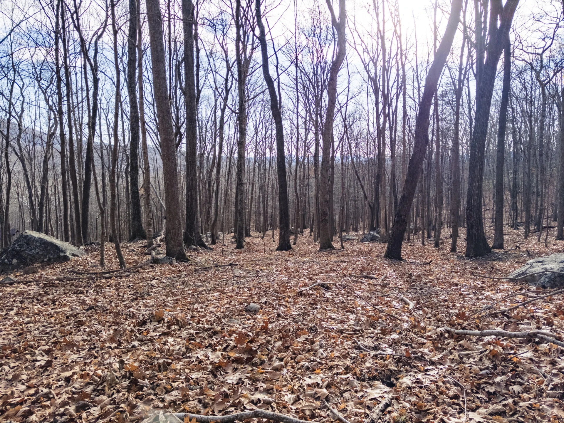 0 Honey Hollow Rd - Photo 5
