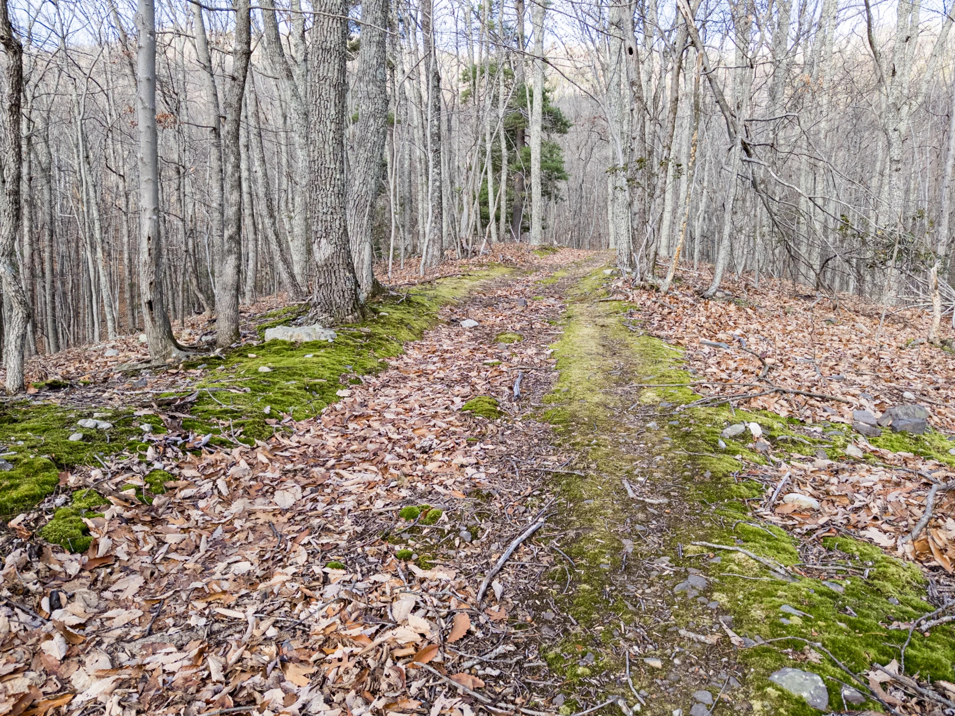 0 Honey Hollow Rd - Photo 7