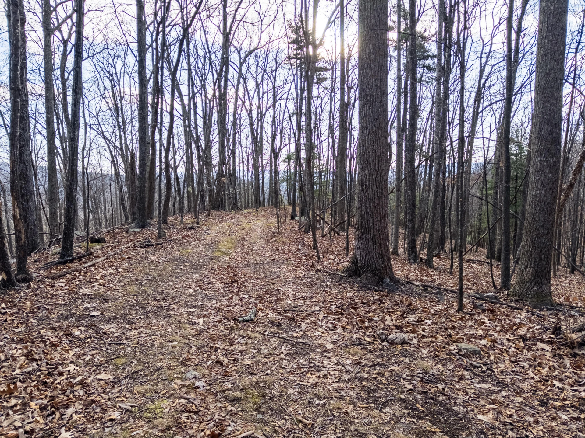 0 Honey Hollow Rd - Photo 9