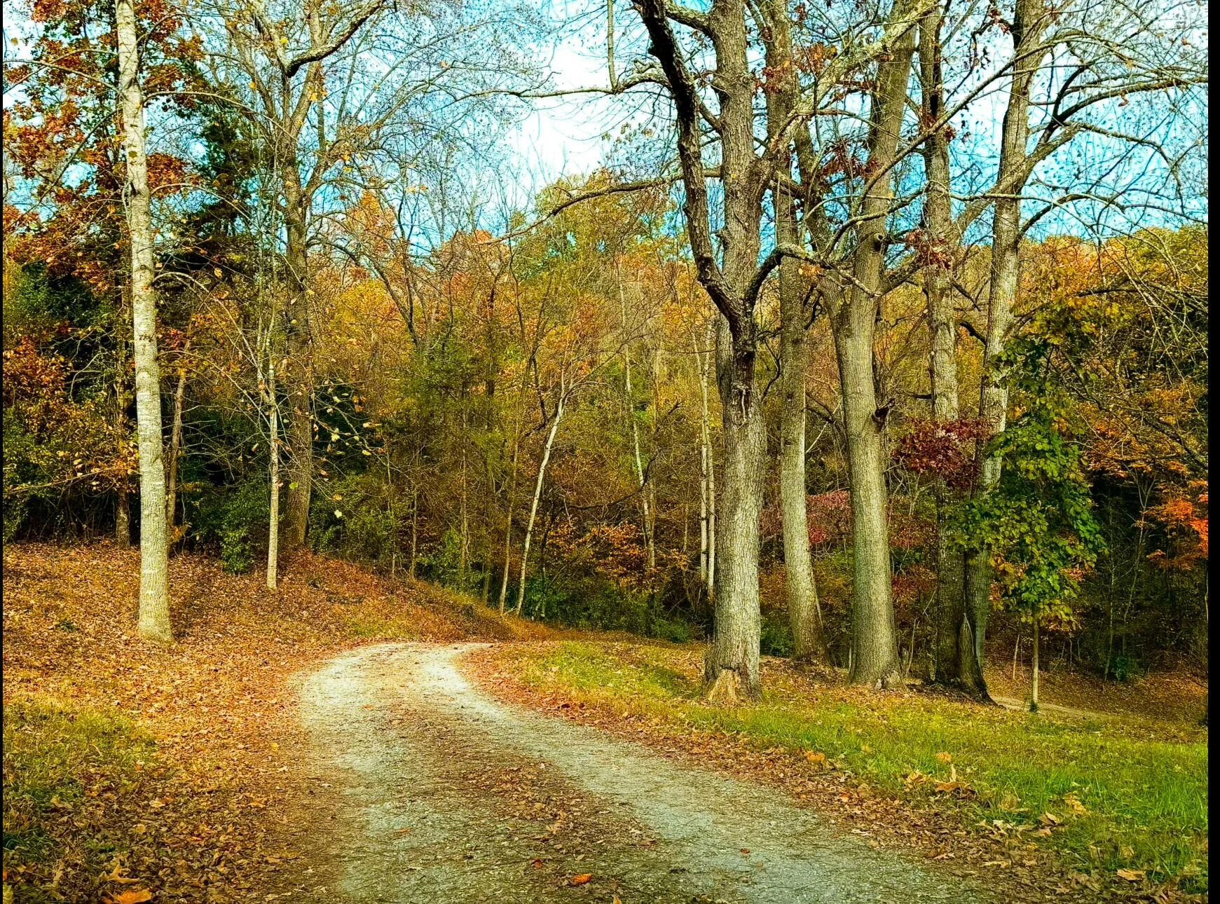 299 highland farm Rd - Photo 10
