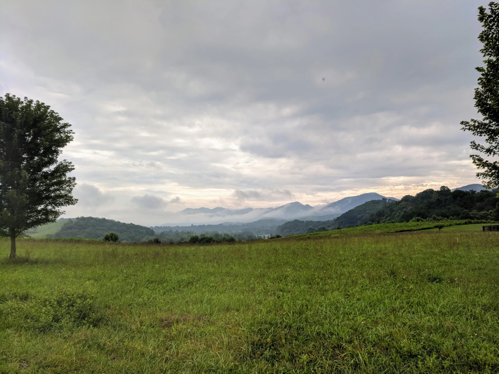 Lot #1 Maury Ridge Dr - Photo 10
