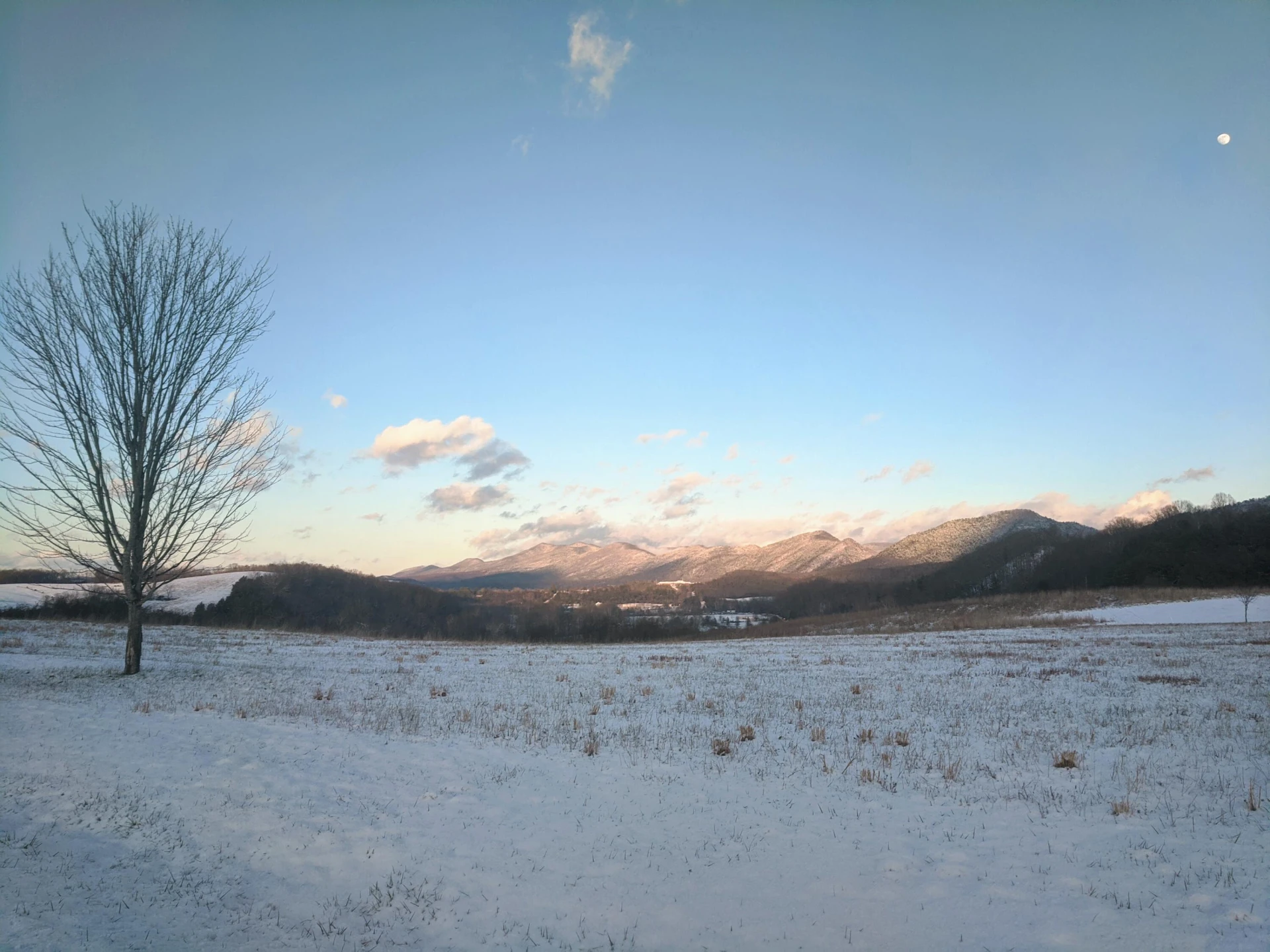 Lot #1 Maury Ridge Dr - Photo 14