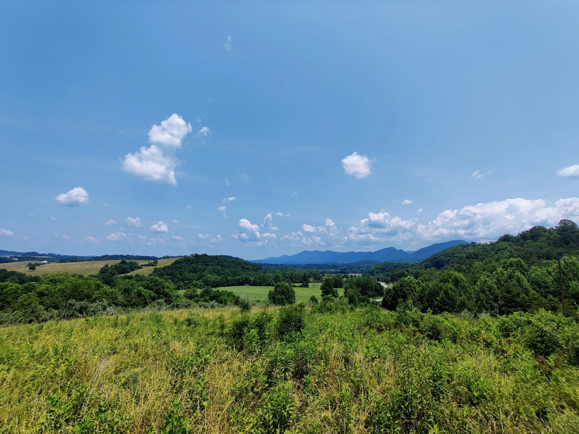 Lot #1 Maury Ridge Dr - Photo 16