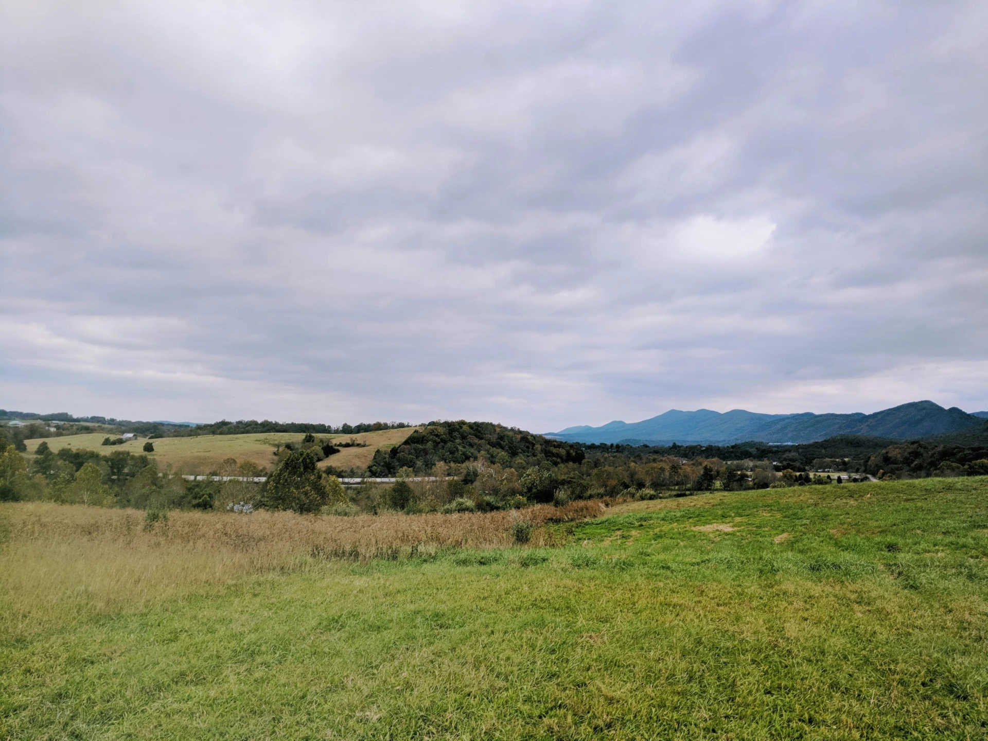 Lot #1 Maury Ridge Dr - Photo 19