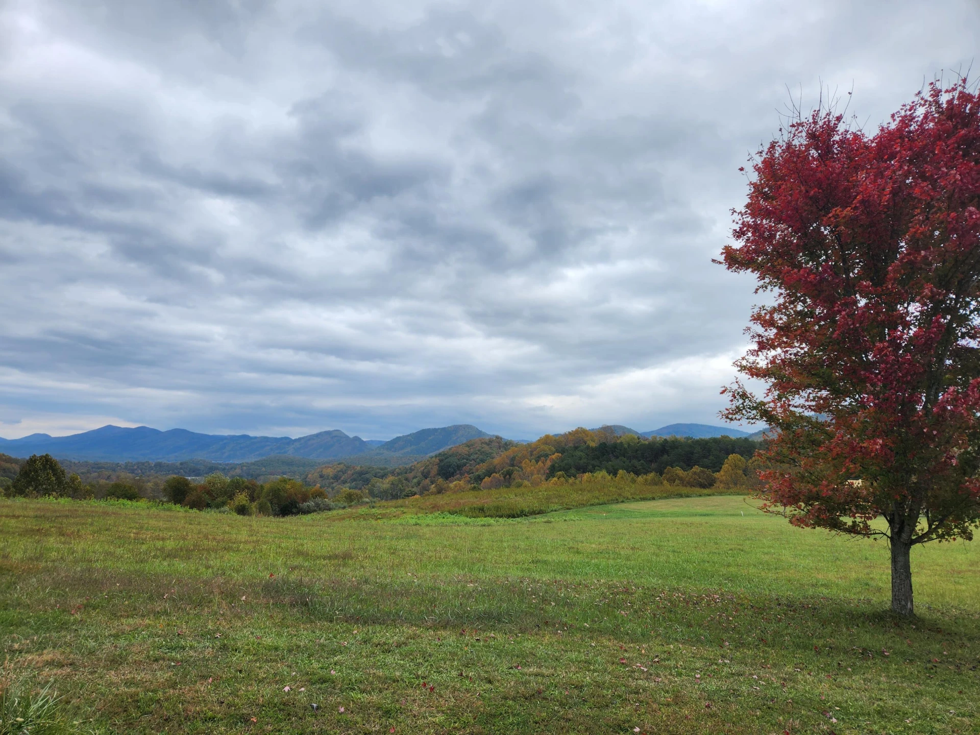 Lot #1 Maury Ridge Dr - Photo 2