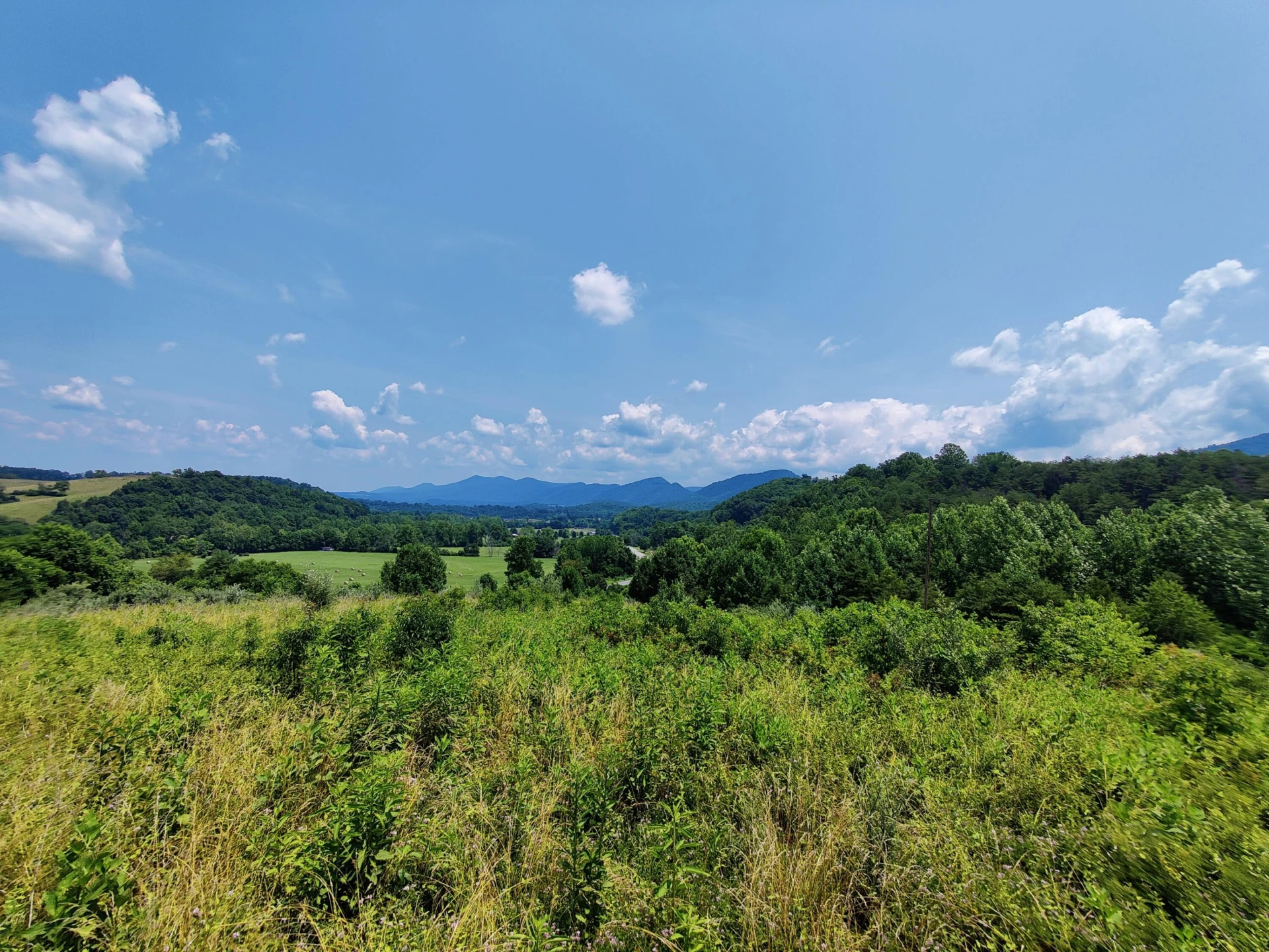 Lot #1 Maury Ridge Dr - Photo 21