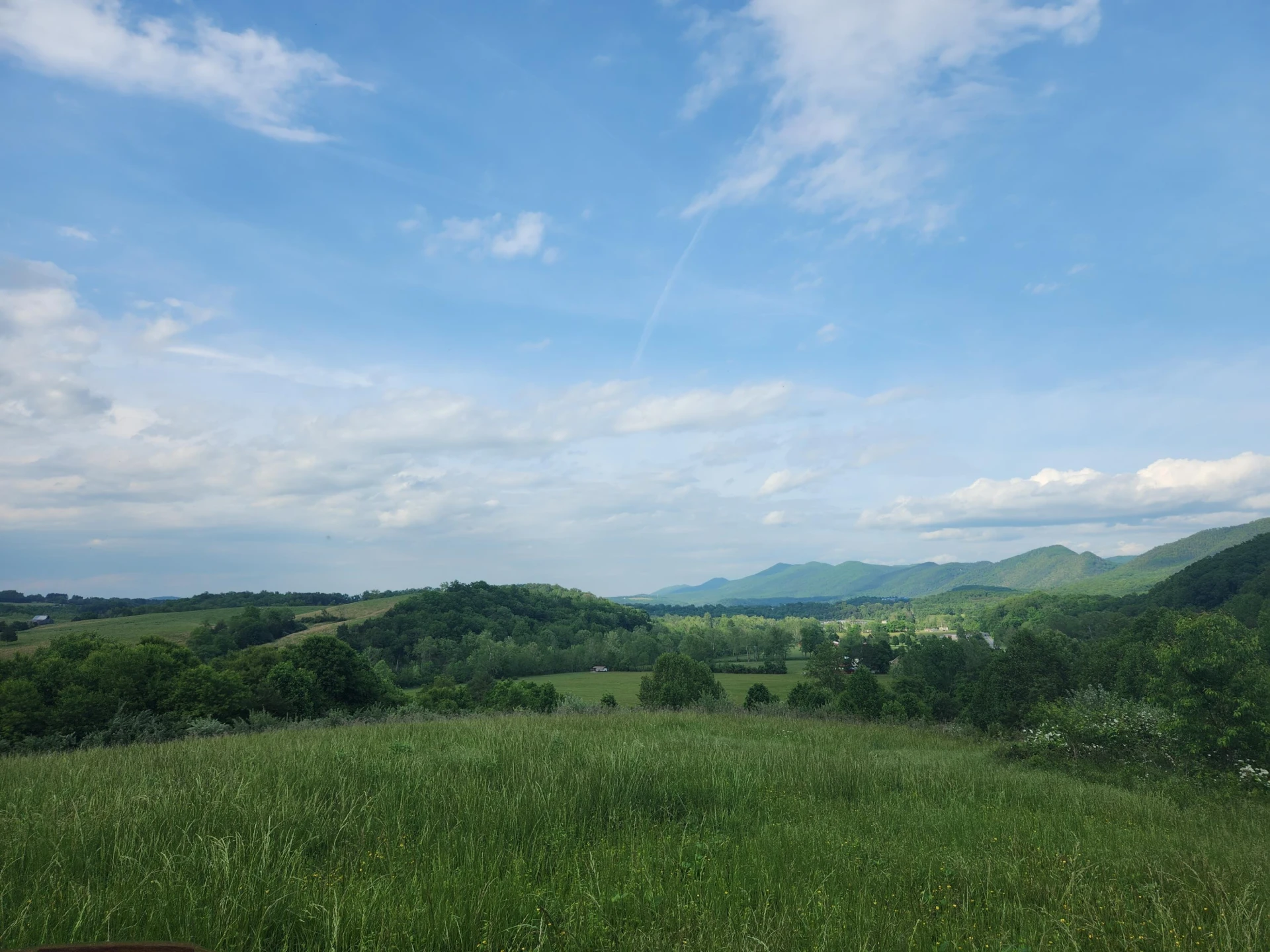 Lot #1 Maury Ridge Dr - Photo 5