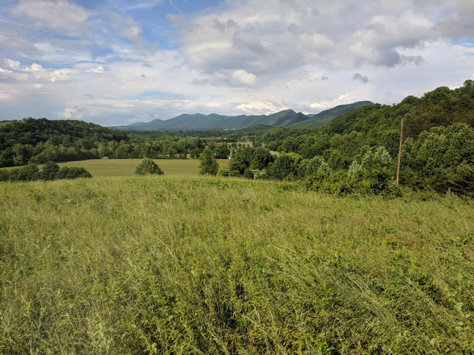 Lot #1 Maury Ridge Dr - Photo 7