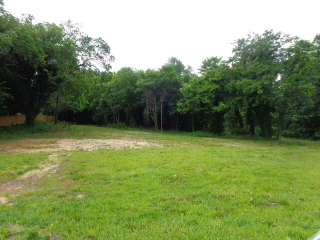 203 Cook Ave - Photo 4