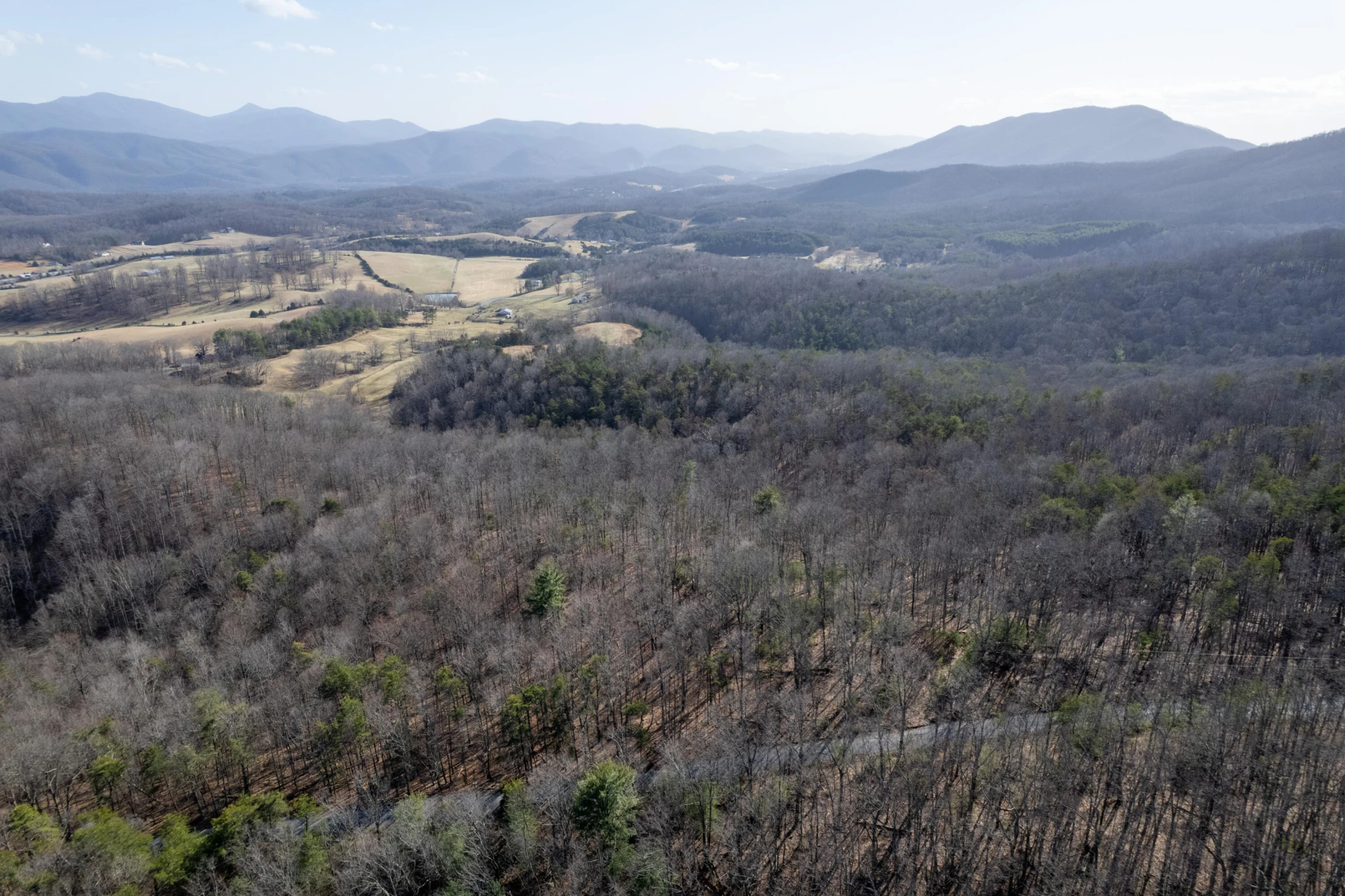 000 Short Hill Dr - Photo 14