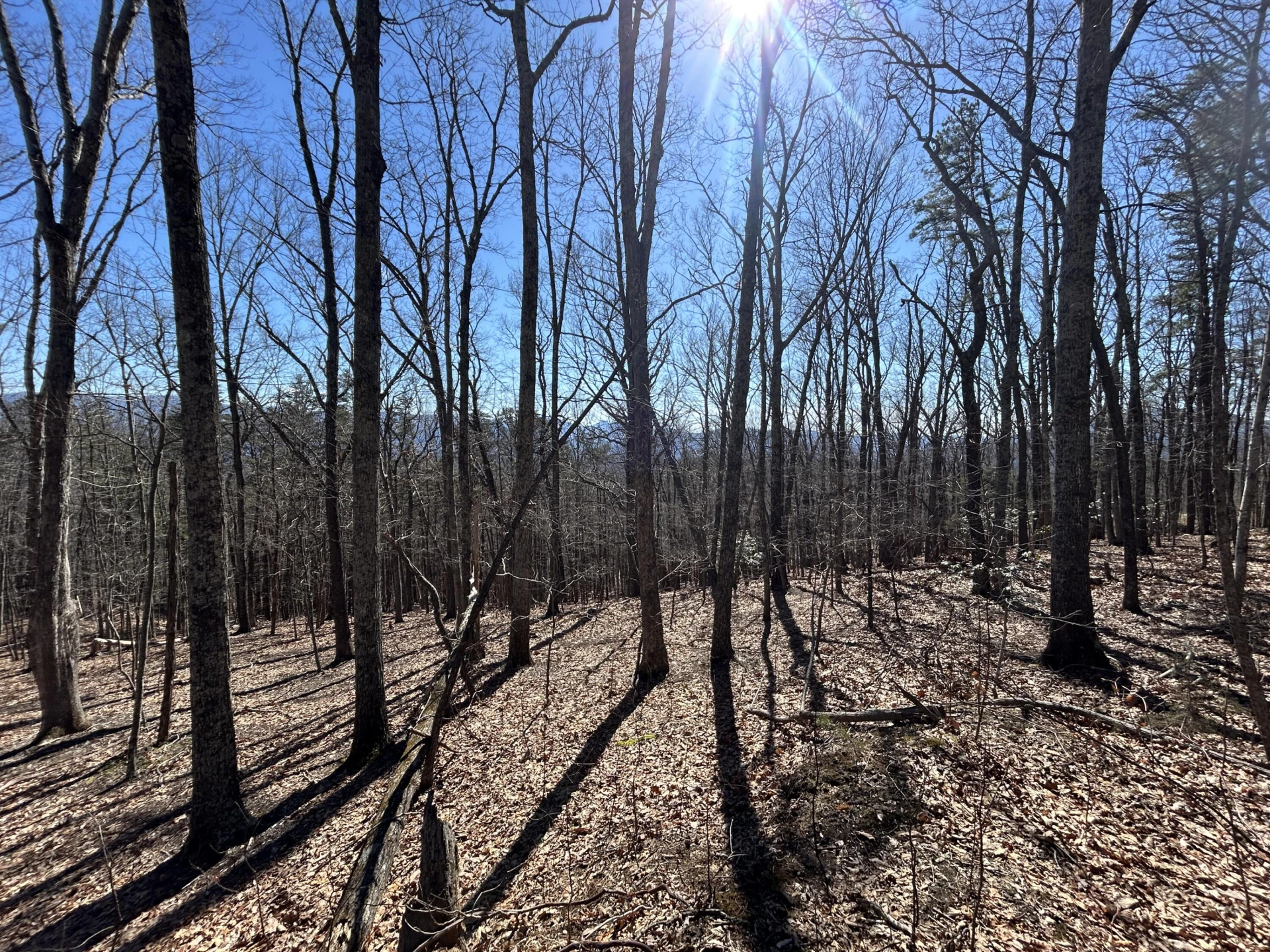 000 Short Hill Dr - Photo 17