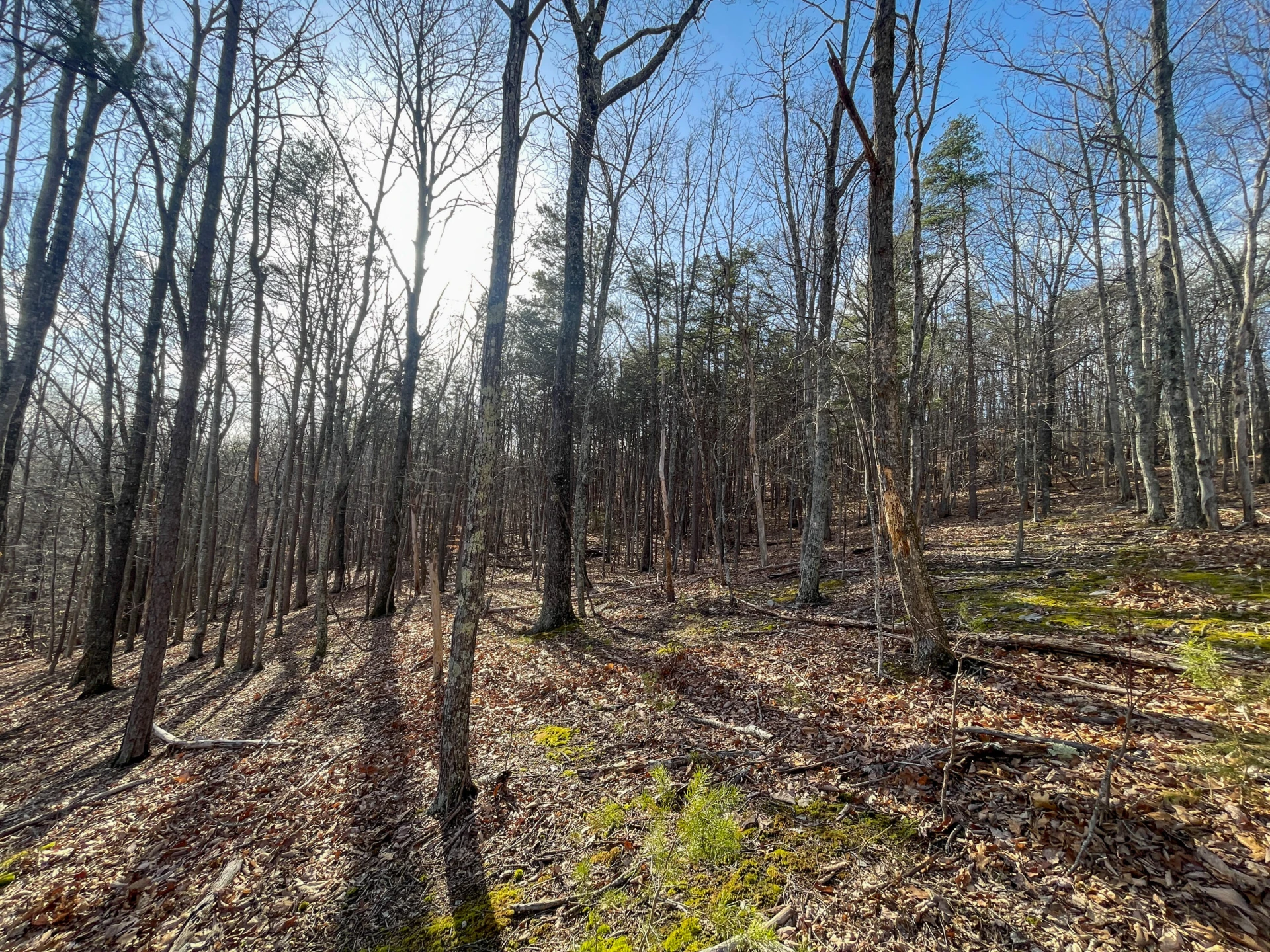 000 Short Hill Dr - Photo 12