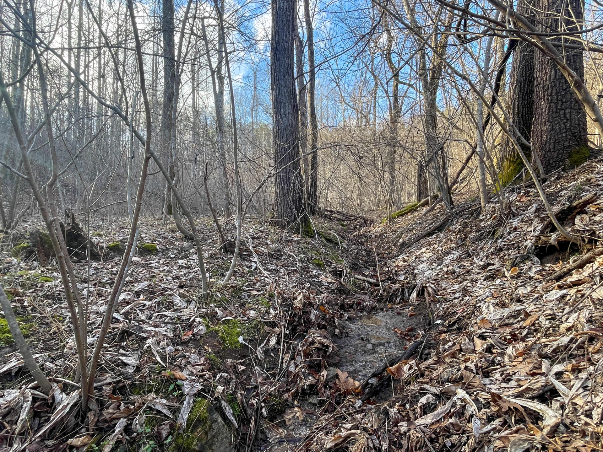 000 Short Hill Dr - Photo 13