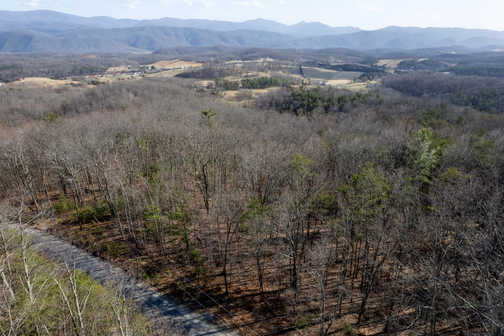 000 Short Hill Dr - Photo 15