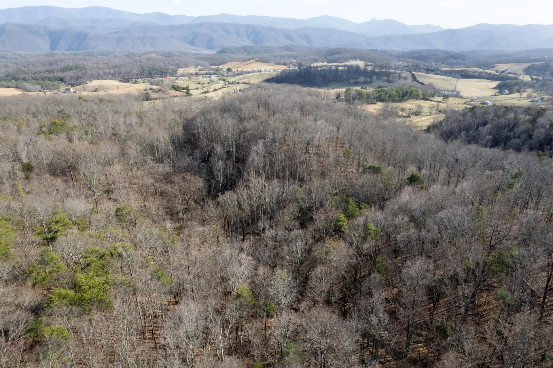 000 Short Hill Dr - Photo 2