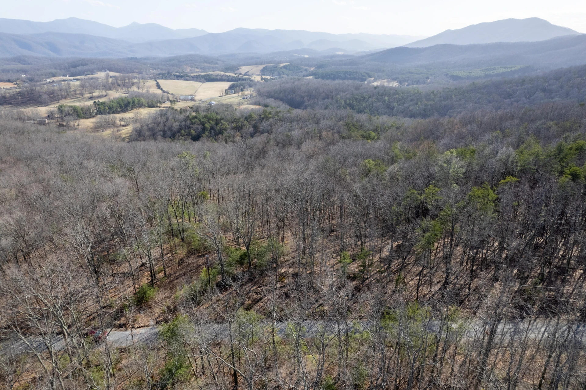 000 Short Hill Dr - Photo 3