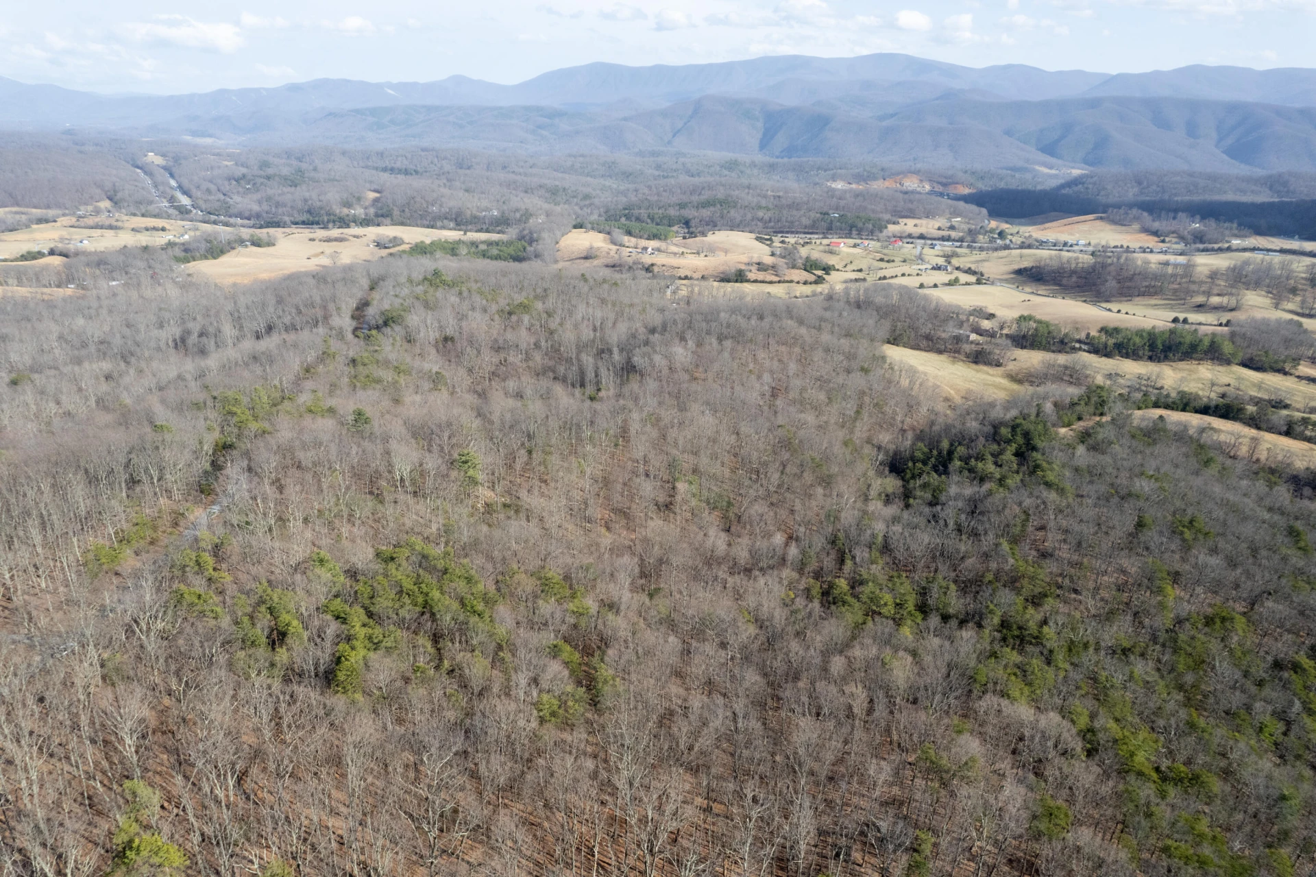 000 Short Hill Dr - Photo 5