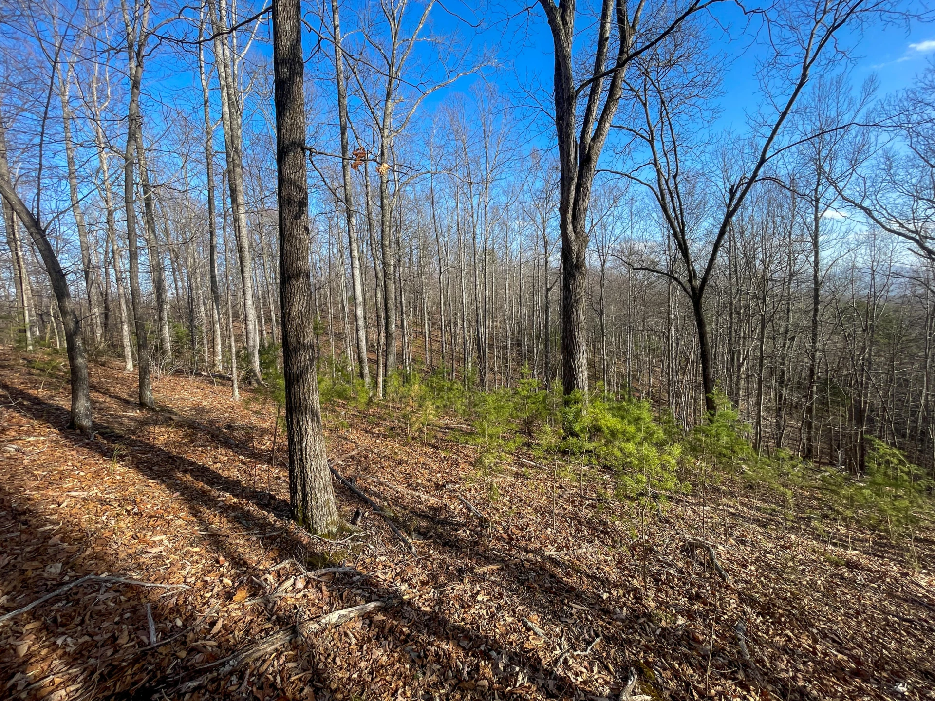 000 Short Hill Dr - Photo 9