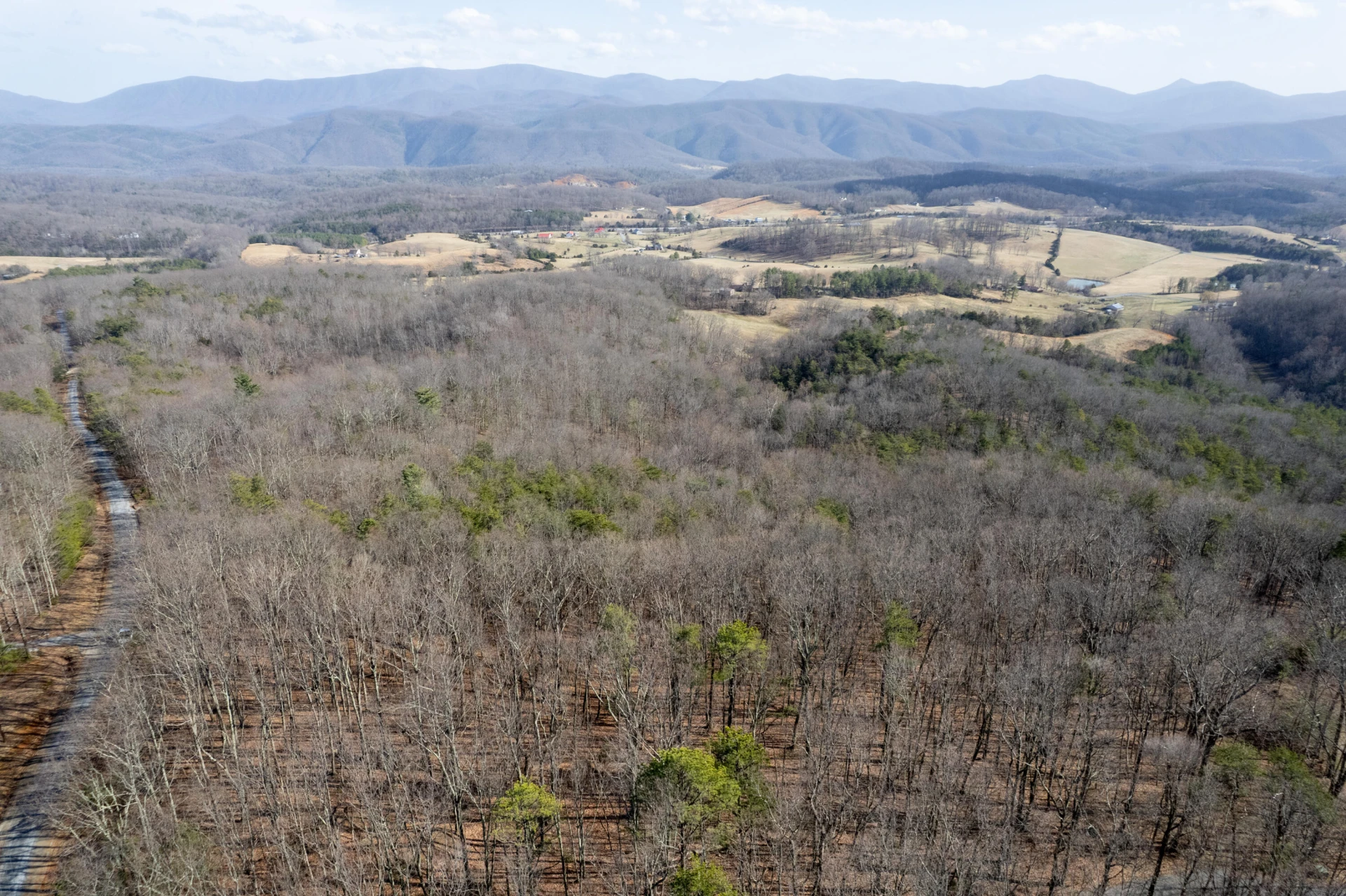 000 SHort Hill Dr - Photo 4