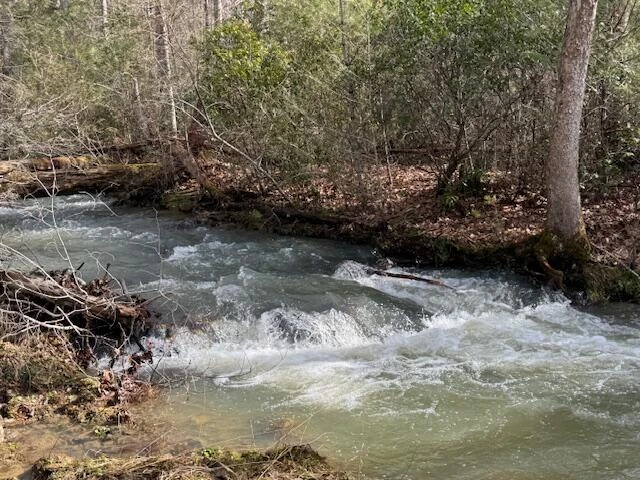 6552 Mill Creek Rd - Photo 2