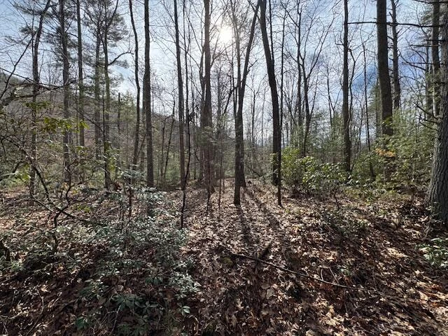6552 Mill Creek Rd - Photo 45