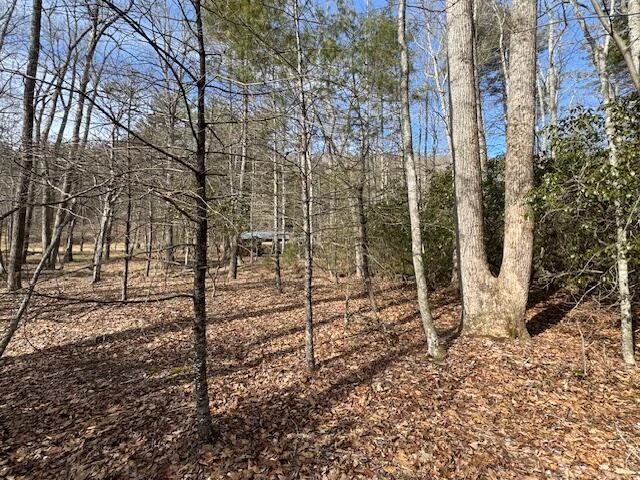 6552 Mill Creek Rd - Photo 46
