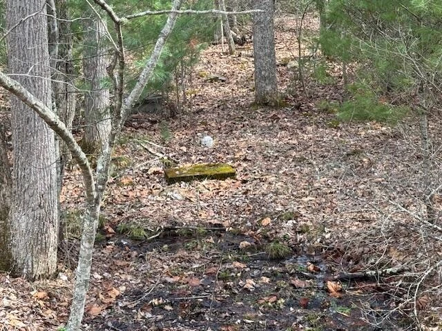 6552 Mill Creek Rd - Photo 47