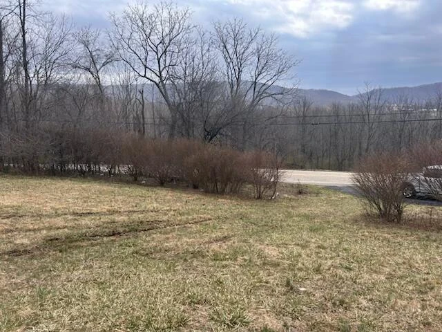 000 Hot Springs Rd - Photo 2