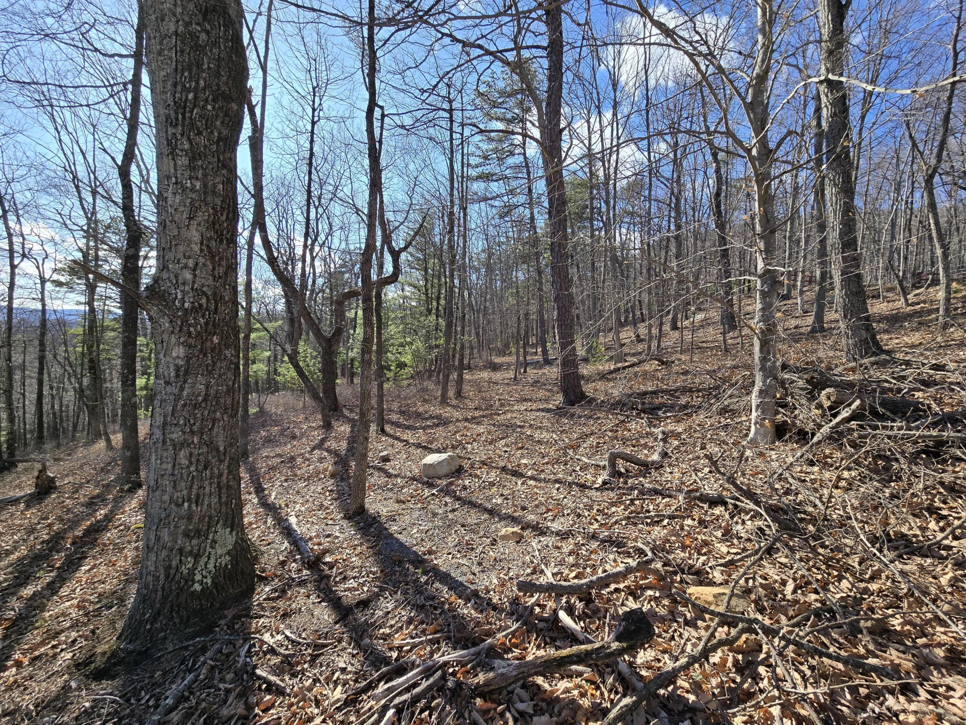 Lot 14 Wenlock Dr - Photo 6